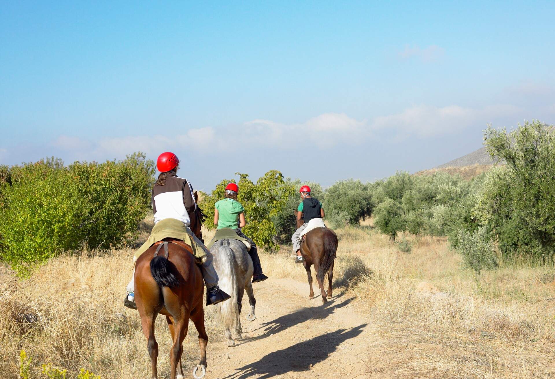 DEST_SPAIN_THEME_HORSERIDING_CHILDREN_ON-HORSE_GettyImages-73214372