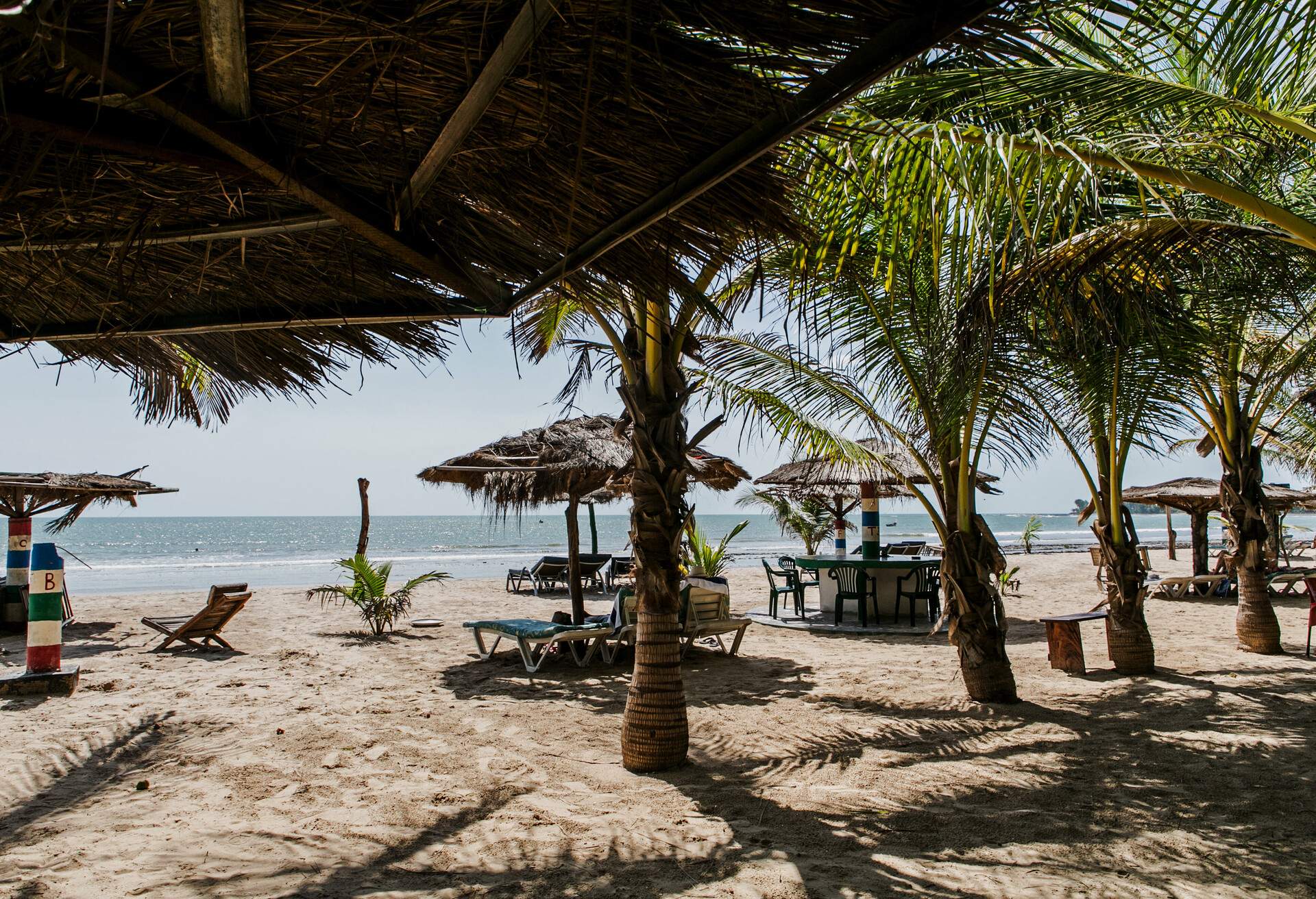Palm trees and wooden umbrellas waiting to be taken by tourists in an empty Paradise Beach at the Sanyang area of Kombo coast of Gambia during a sunny day of September.