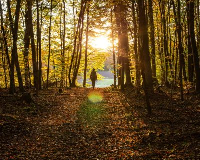 THEME_NATURE_PEOPLE_WOMAN_WALKING_FOREST_SUNSET_AUTUMN_GettyImages-1302974682-4.jpg