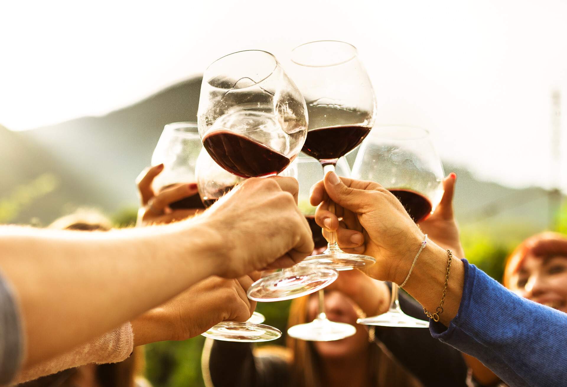 friends doing a wine tasting