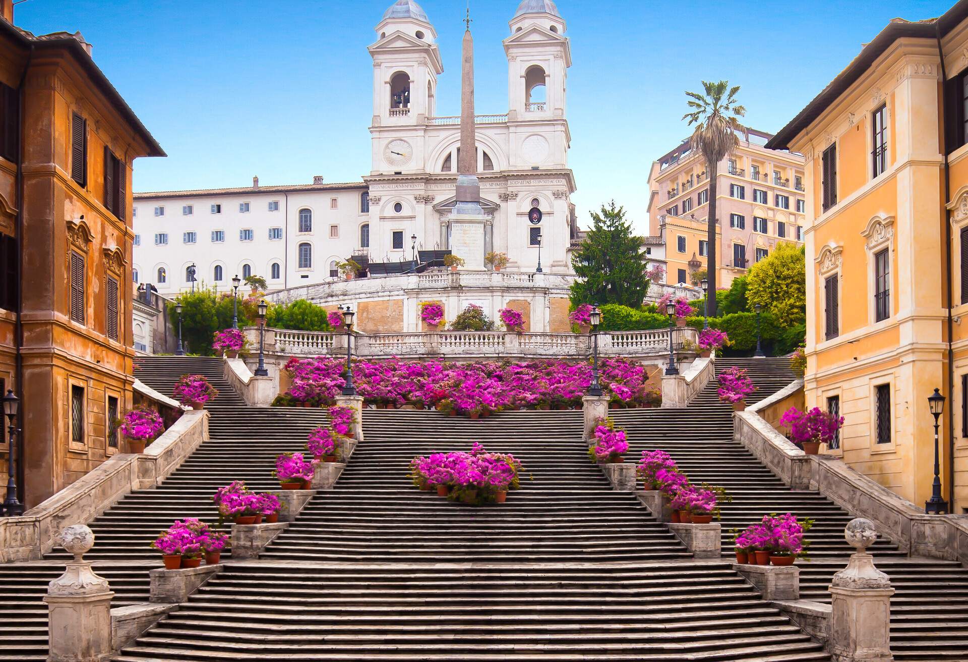 Spanish steps with azaleas at sunrise, Rome, Italy