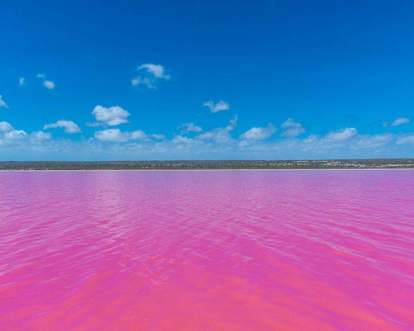 AUSTRALIA_HUTT_LAGOON_PINK_LAKE