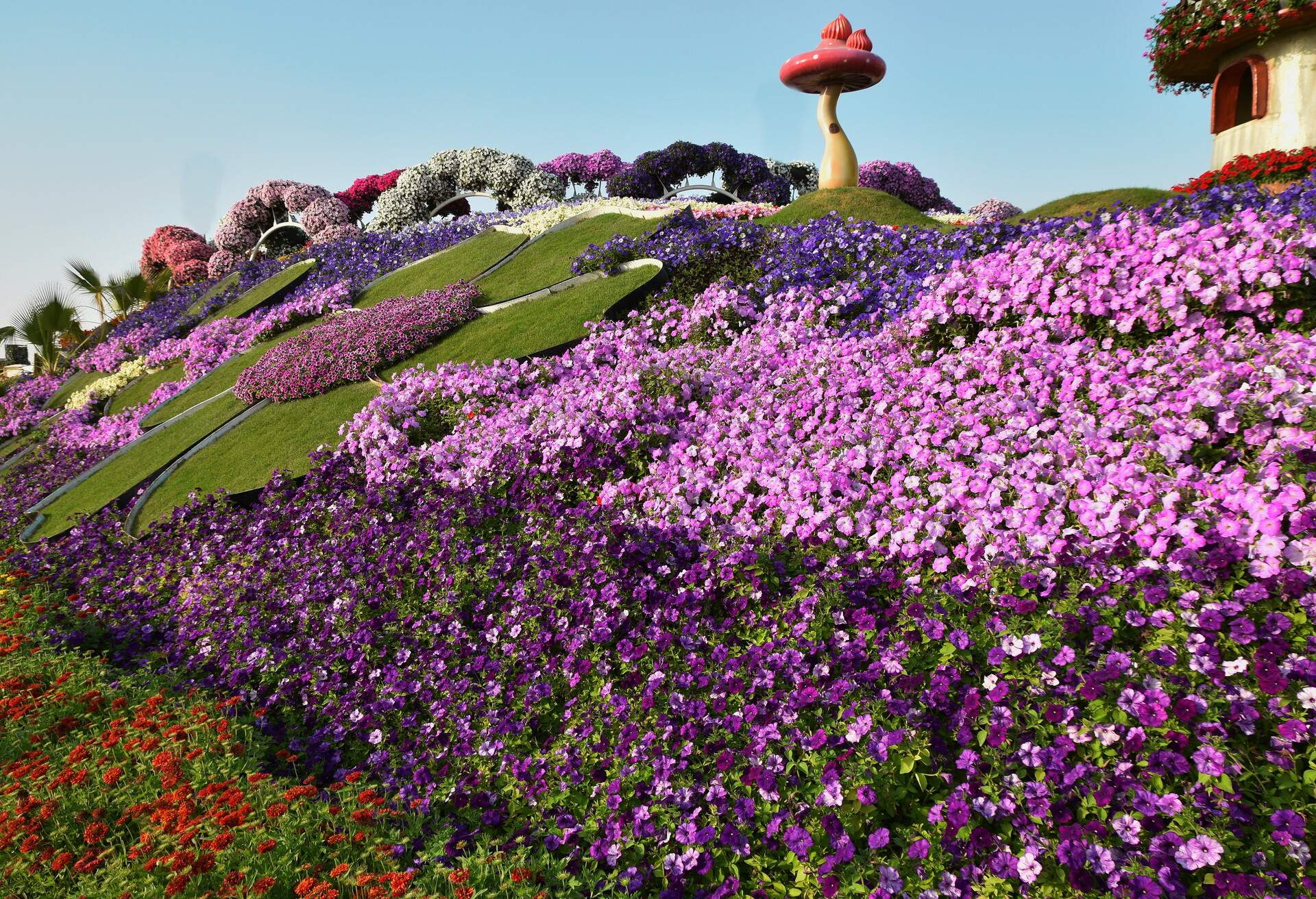 Flowers Matt at the Dubai Miracle garden,Dubai, UAE