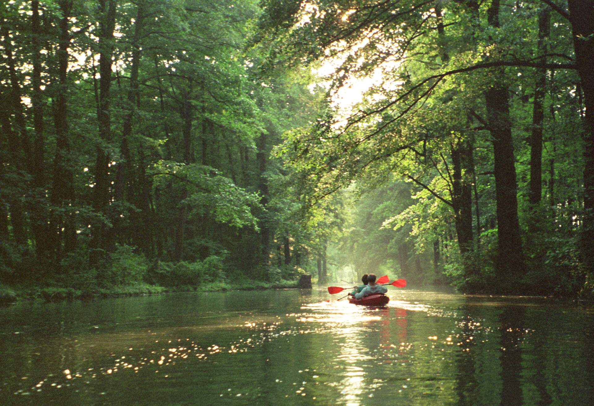 DEST_GERMANY_SPREEWALDD_CANOE_GettyImages-128311844