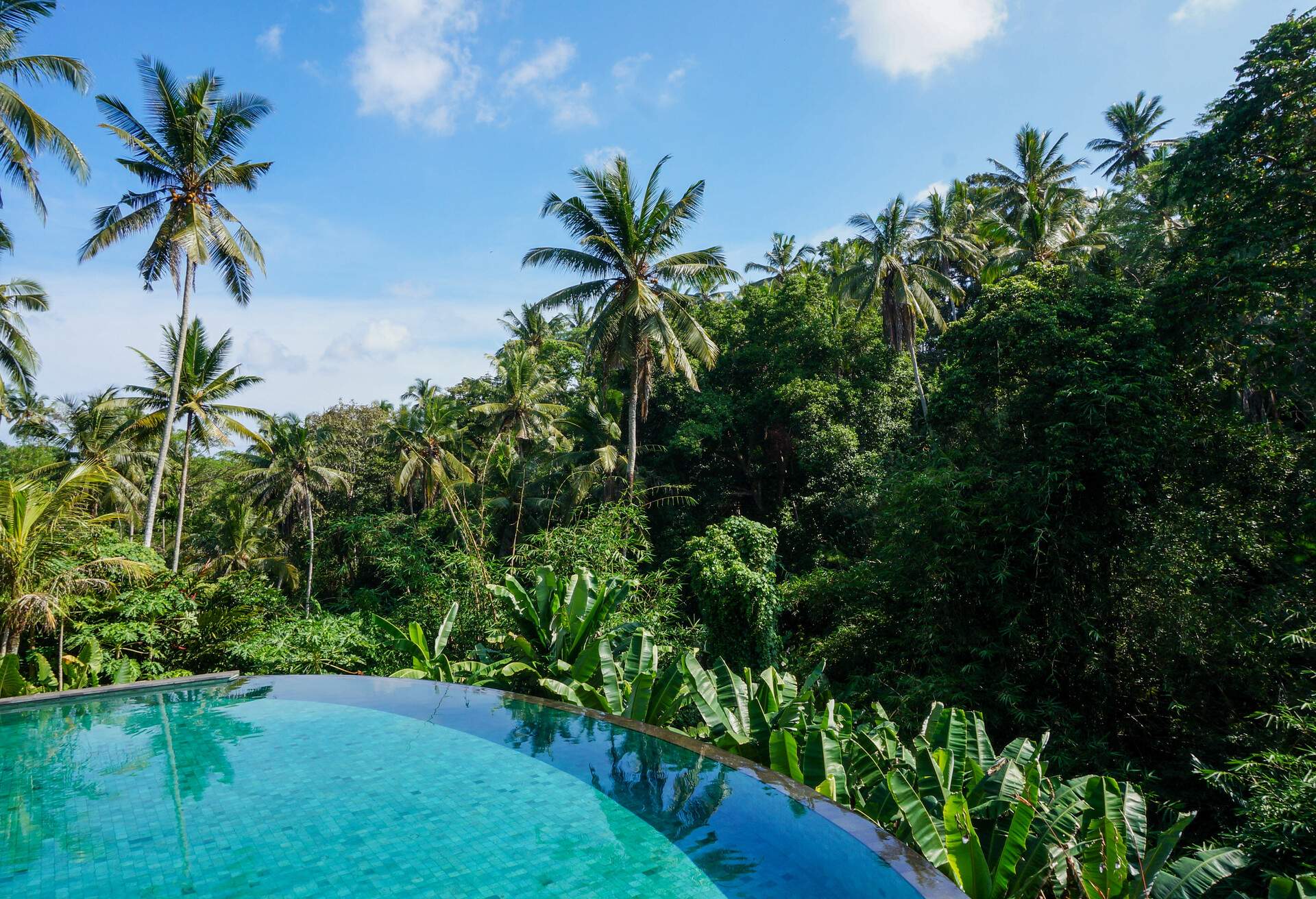 Beautiful pool with junge views in Ubud, Bali