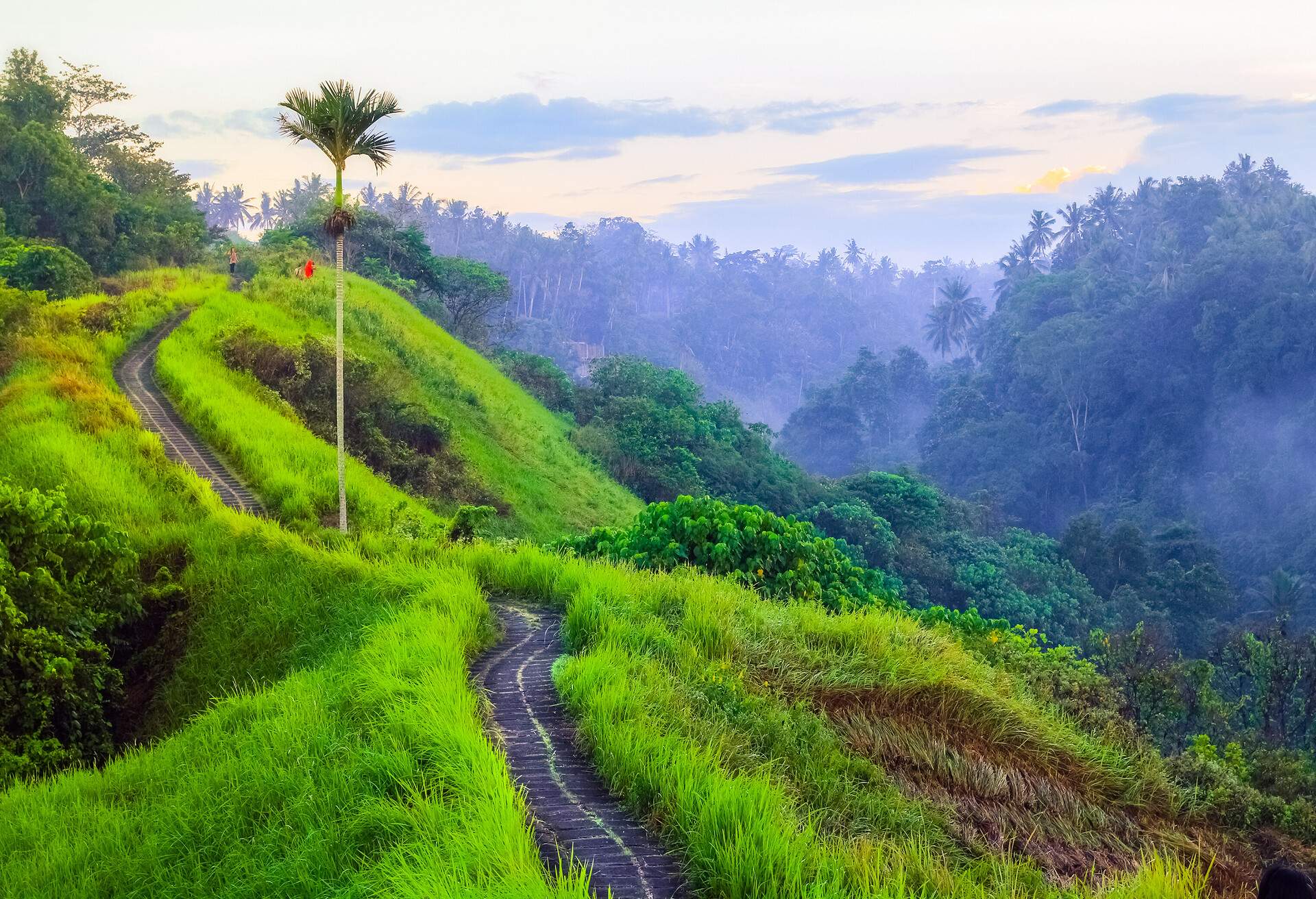 DEST_INDONESIA_UBUD_BALI_CAMPUHAN-RIDGE-WALK_GettyImages-689568354.jpg