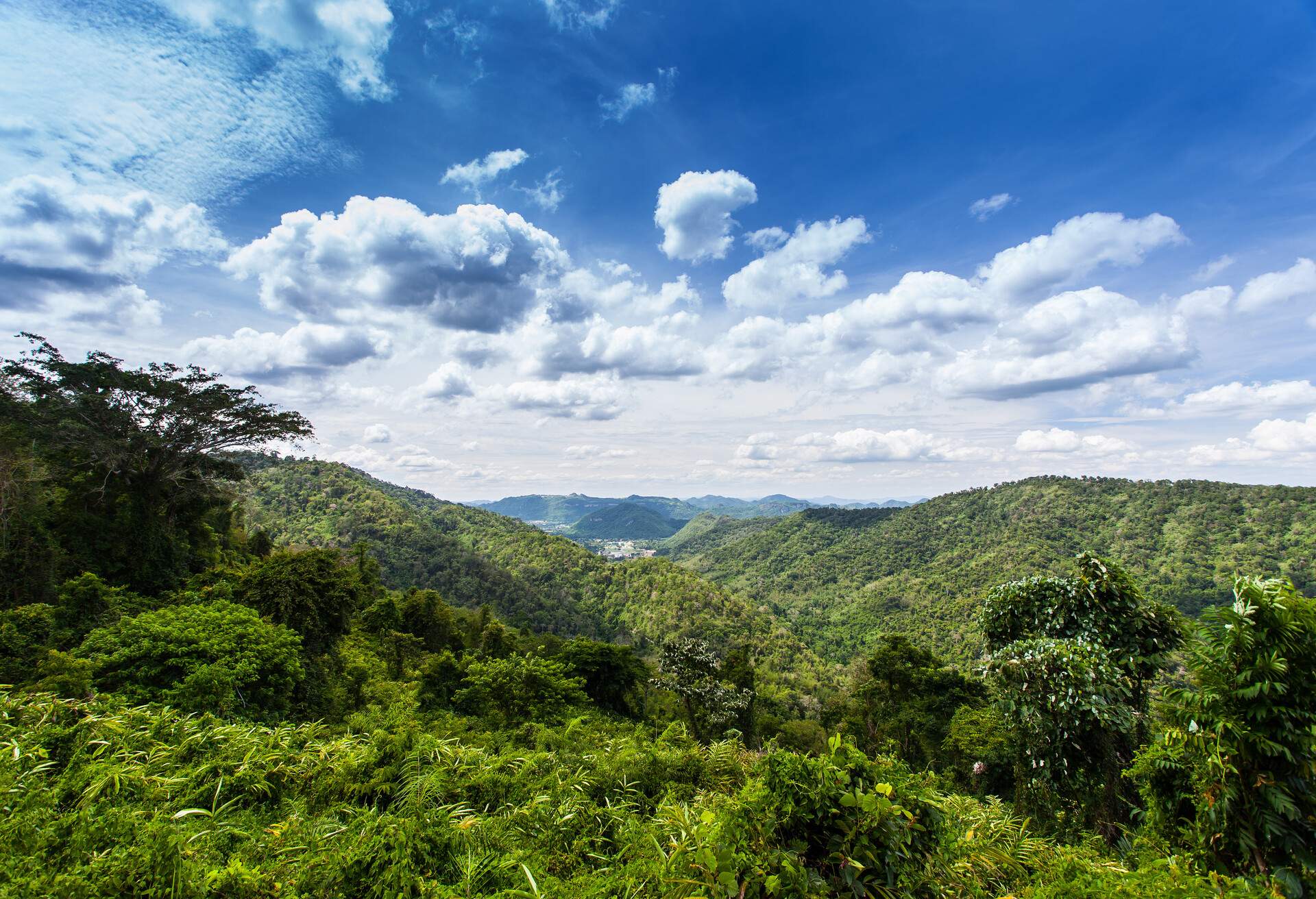 Forest landscape at Khao Yai national park, Thailand; Shutterstock ID 305764820