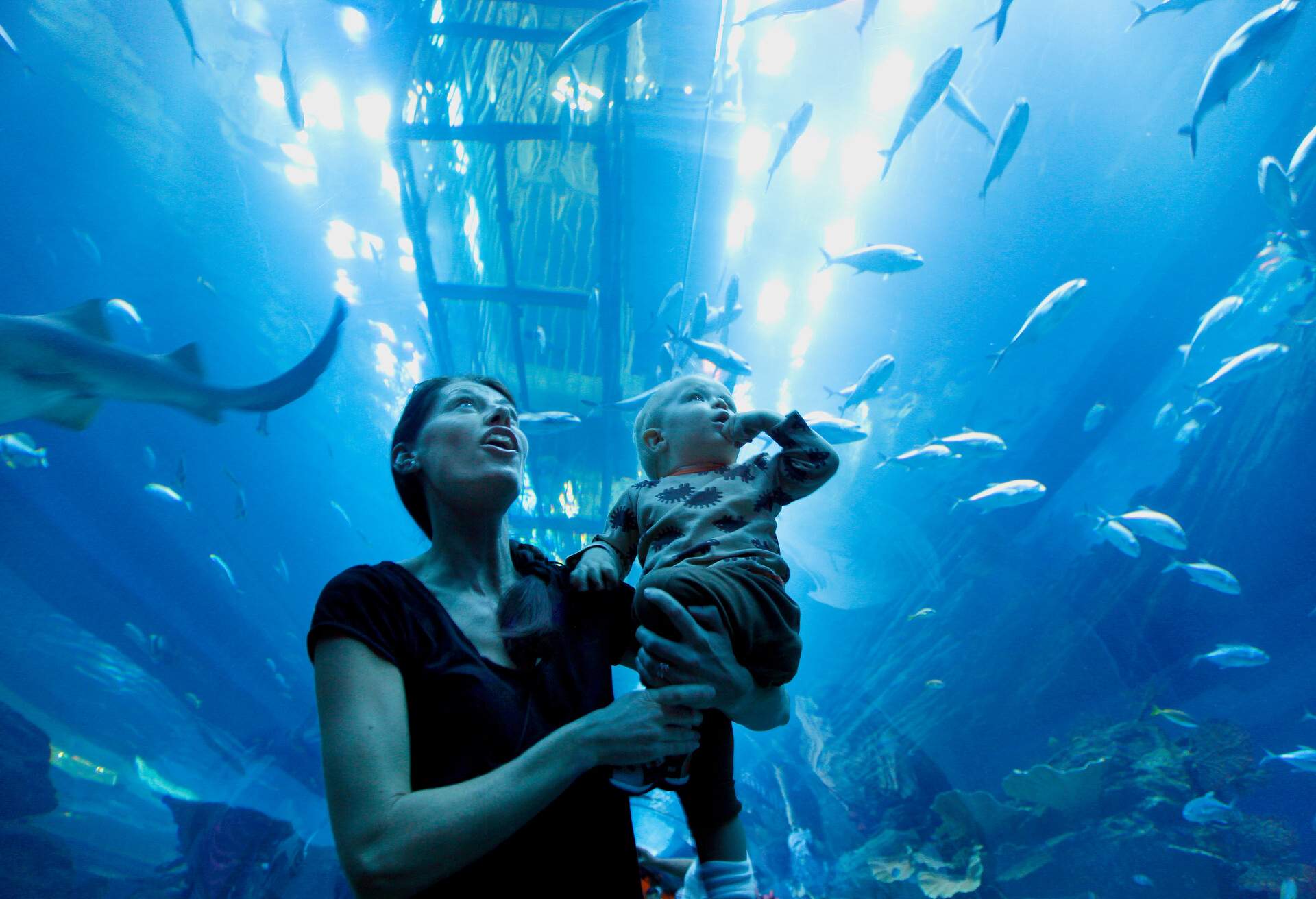 oceanarium