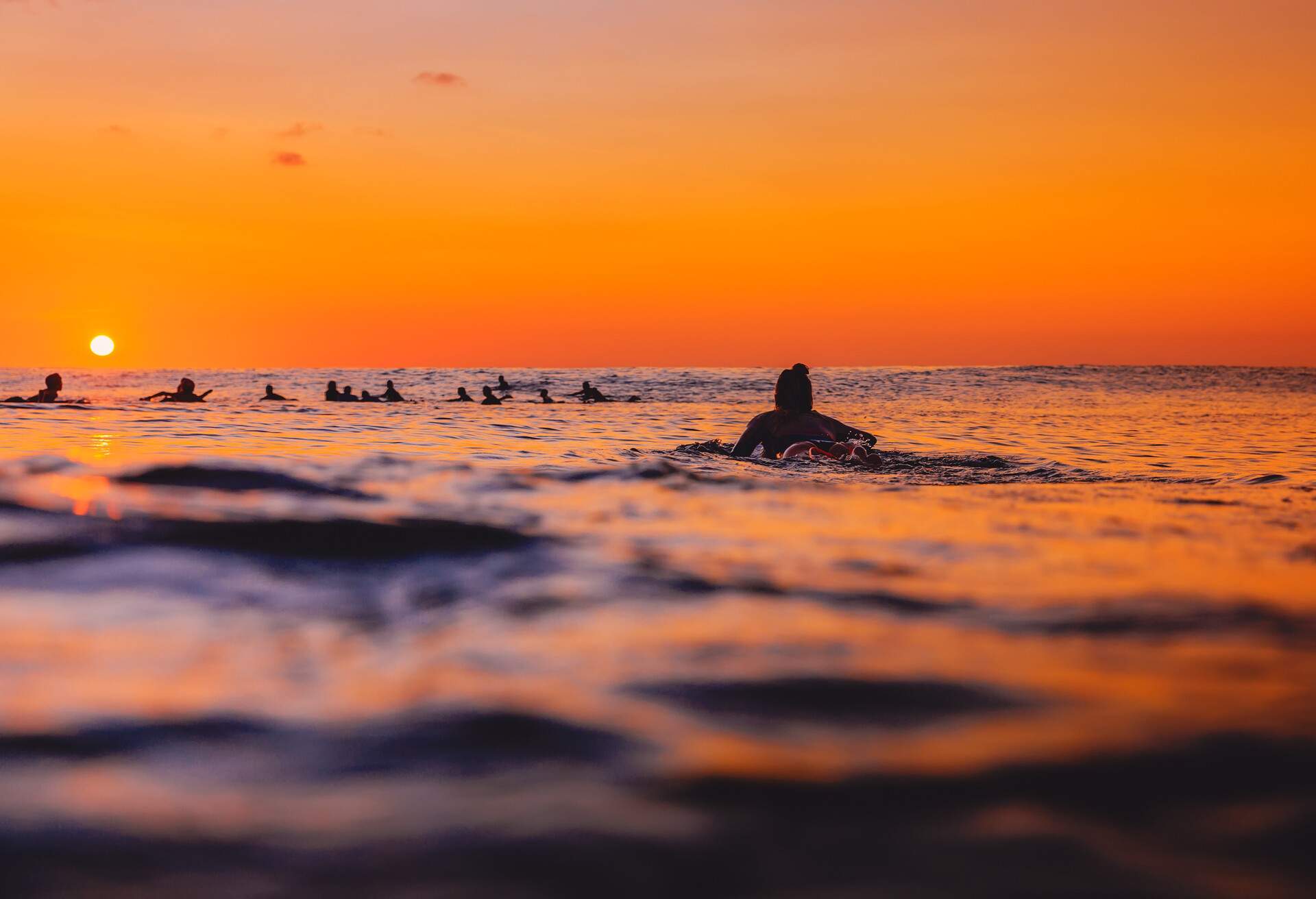 Surfers on line up and surfer woman at warm sunset. Surfing in ocean