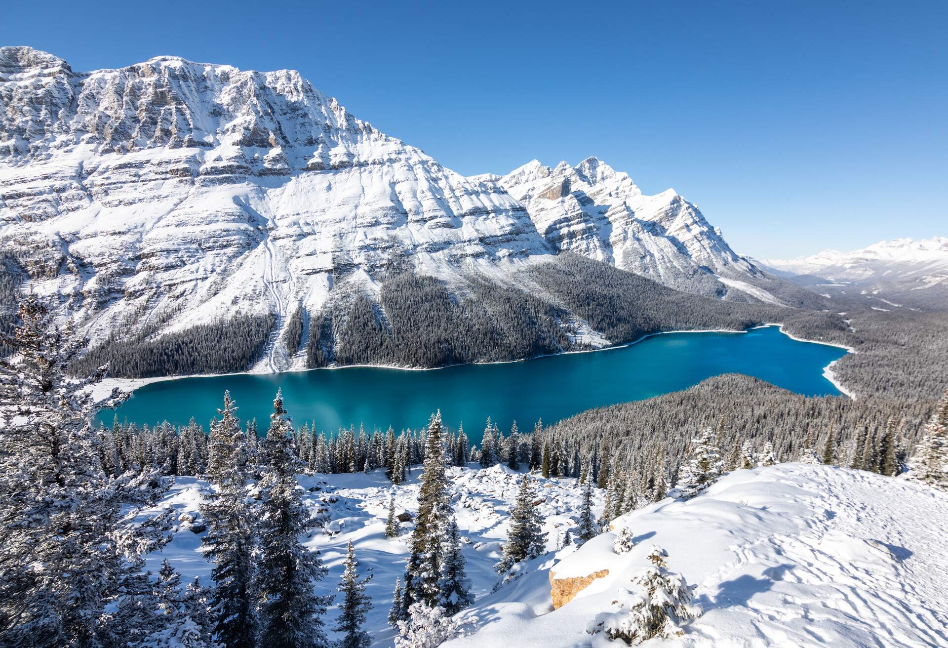 DEST_CANADA_BRITISH-COLUMBIA-FIELD_PEYTO-LAKE_WINTER-shutterstock-portfolio1723070542