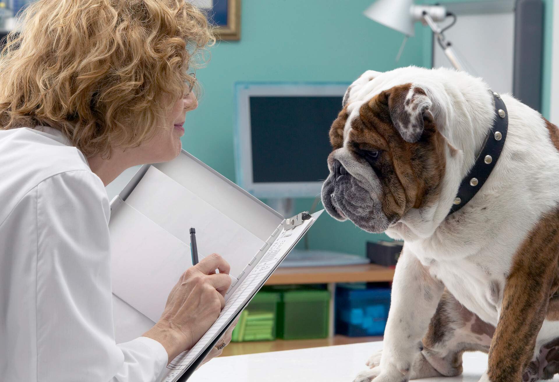 DOG_DOCTOR_DOCUMENTS