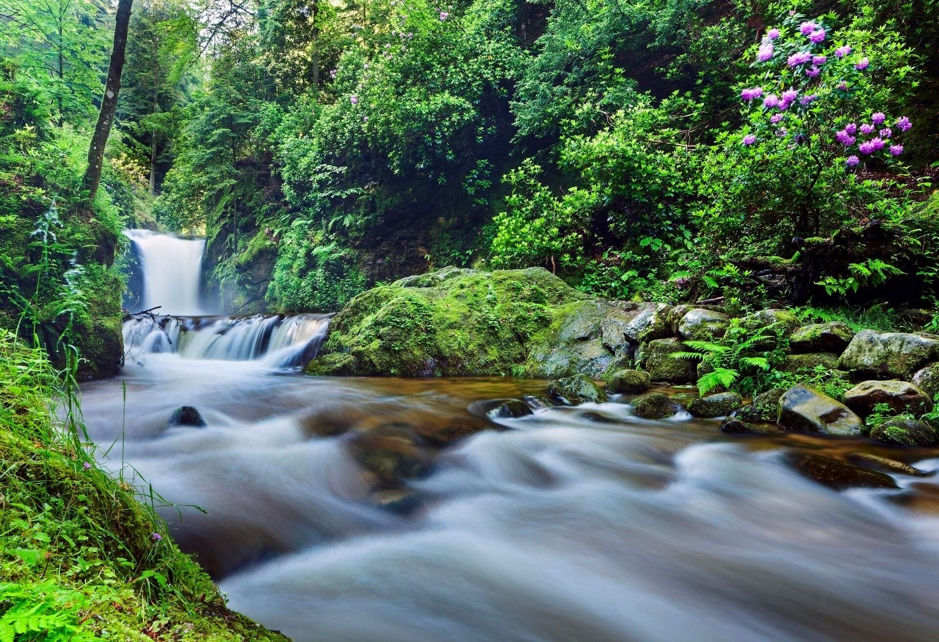 DEST_GERMANY_BLACK-FOREST_SCHWARZWALD_ Geroldsauer-Waterfall_GettyImages-949678814