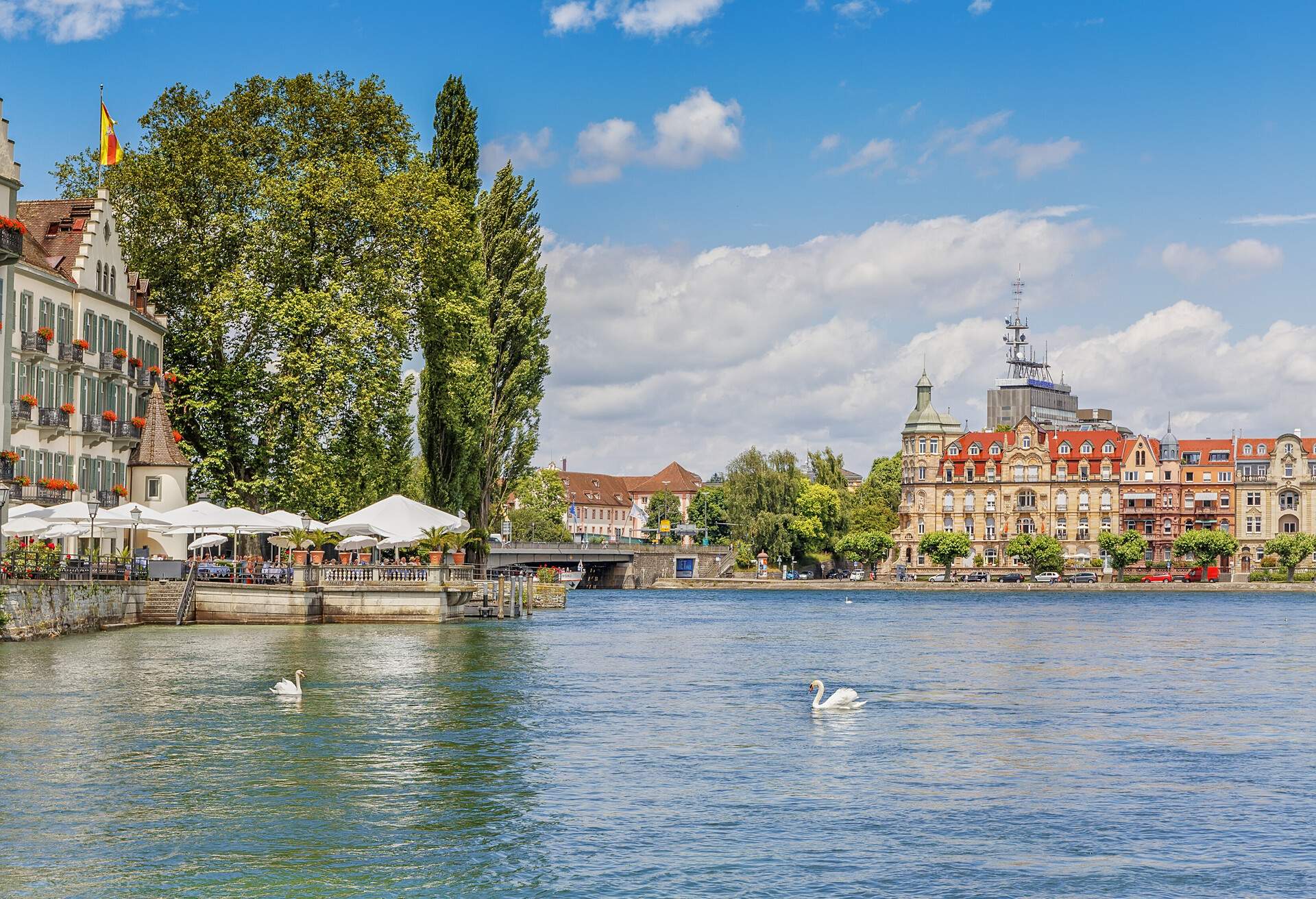 DEST_GERMANY_BODENSEE LAKE_SWANS_GettyImages-856893598