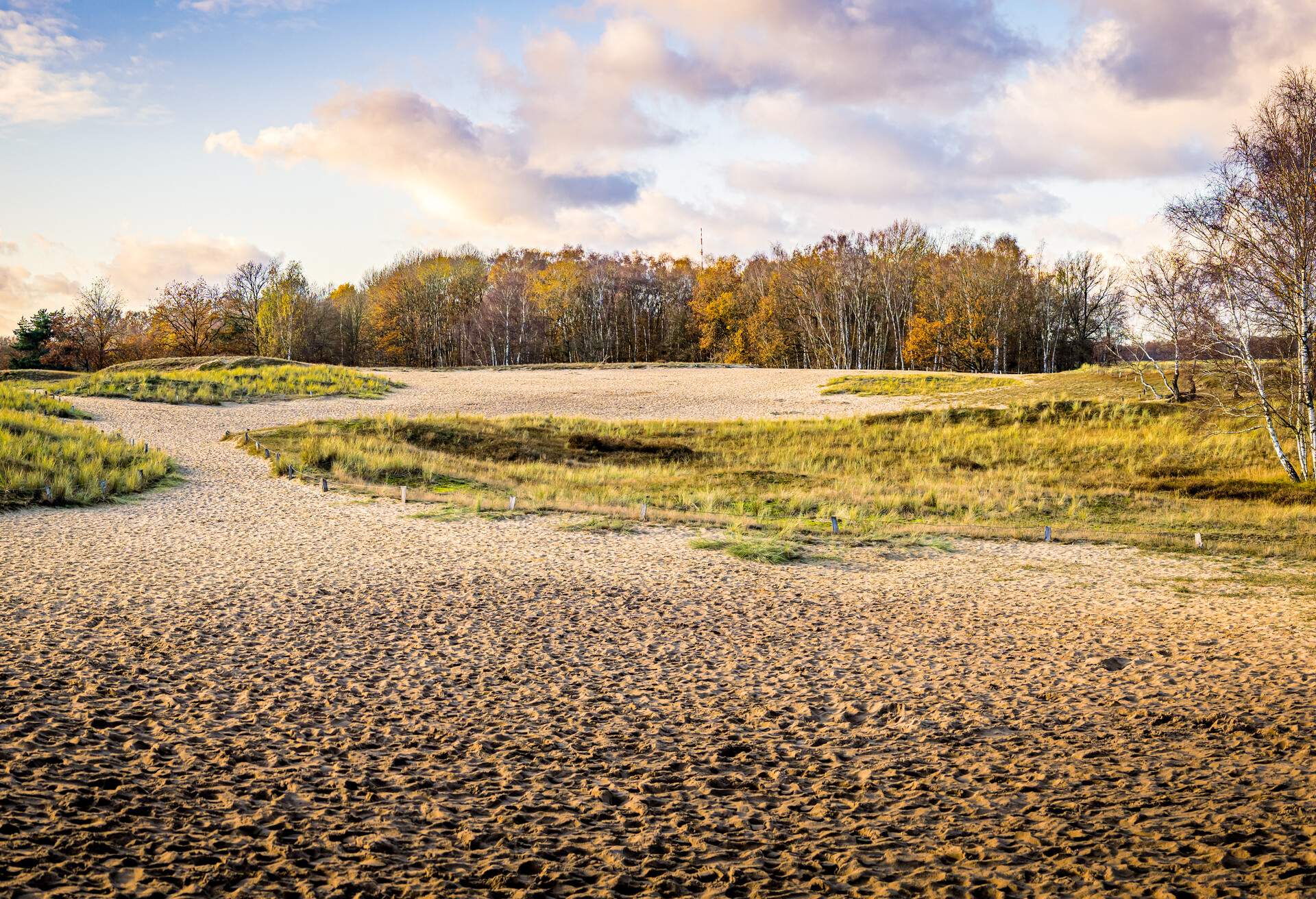 DEST_GERMANY_HAMBURG_BOBERGER-DUNES_GettyImages-1292237293