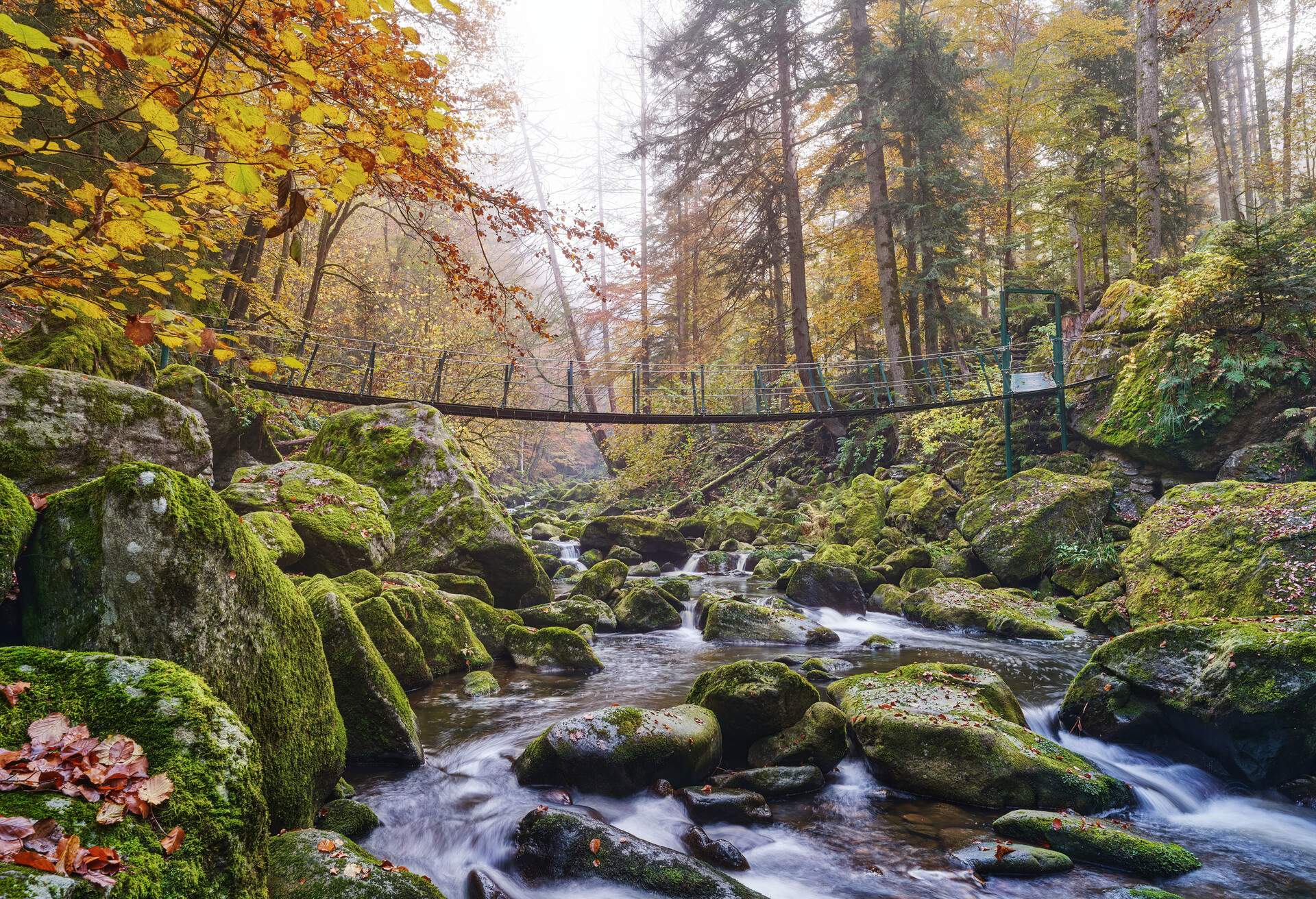 Wildbachklamm Buchberger Leite im Herbst, Hängebrücke, Geotop, Ringelai, Freyung-Grafenau, Bayerischer Wald