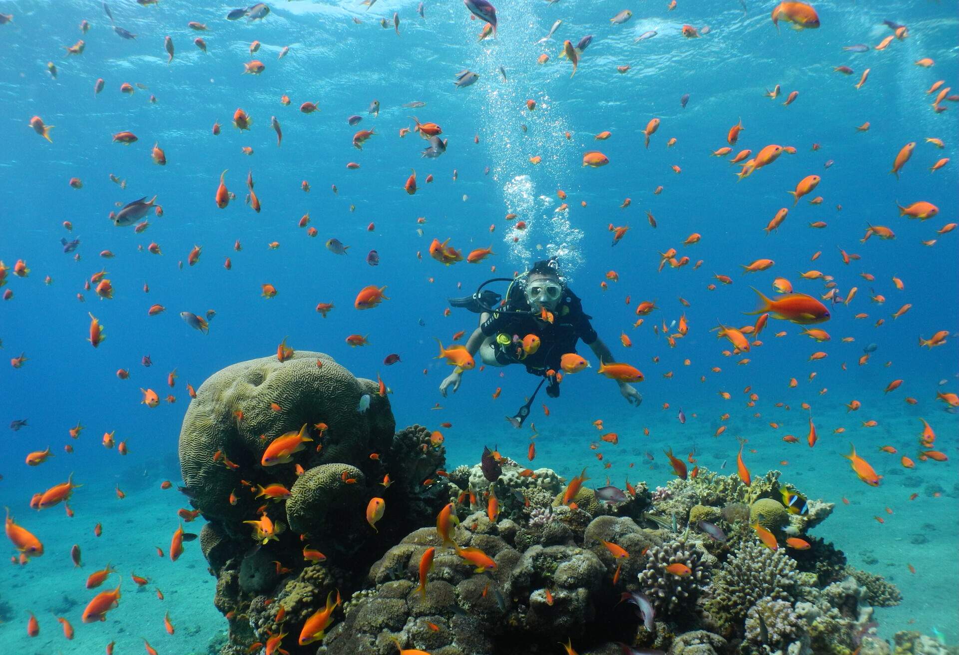 DEST_ISRALE_EILAT_THEME_SCUBA_GettyImages