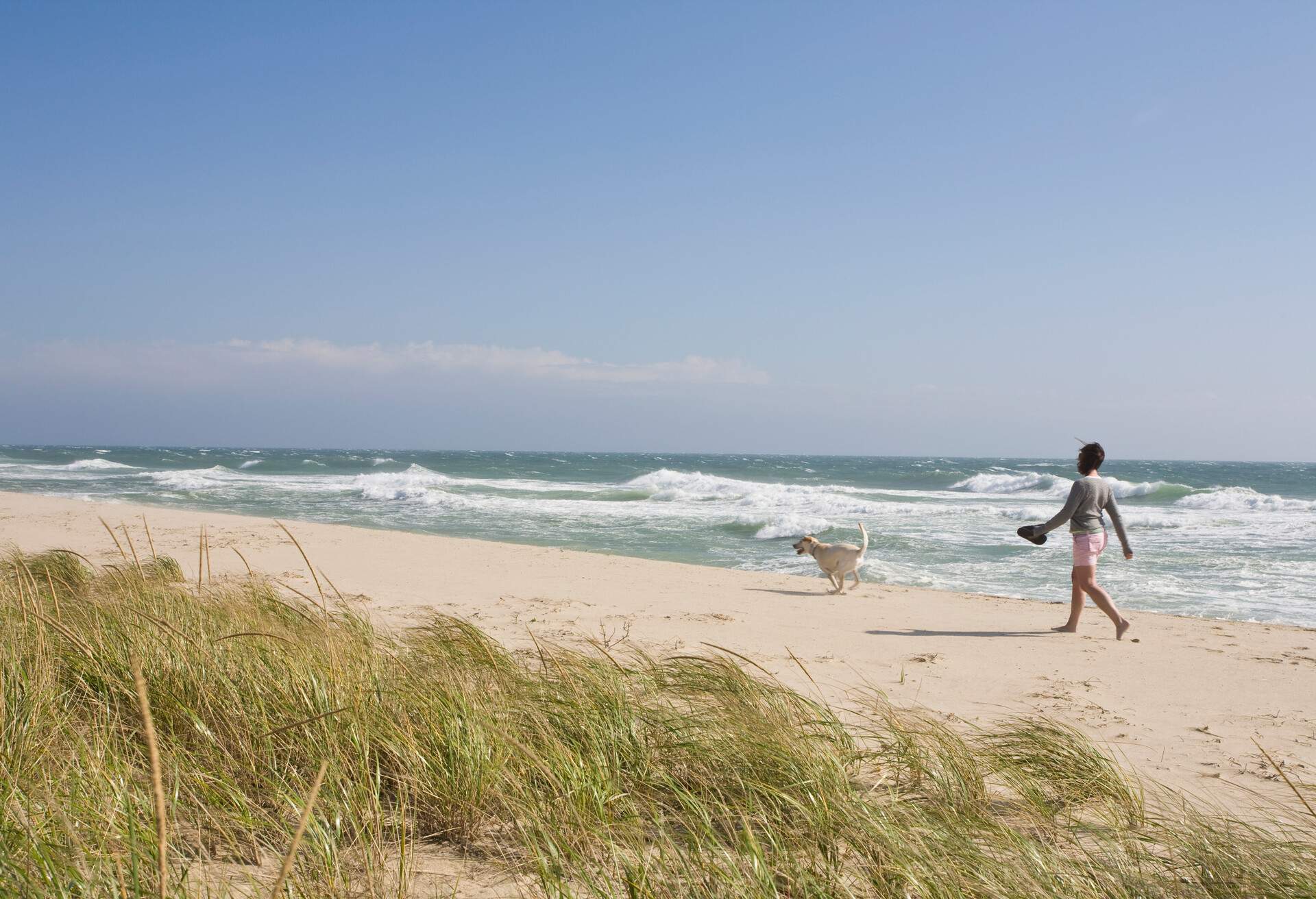 DEST_MASSACHUSETTS_NANTUCKET_THEME_BEACH_DOG-WALKING_GettyImages-102491246