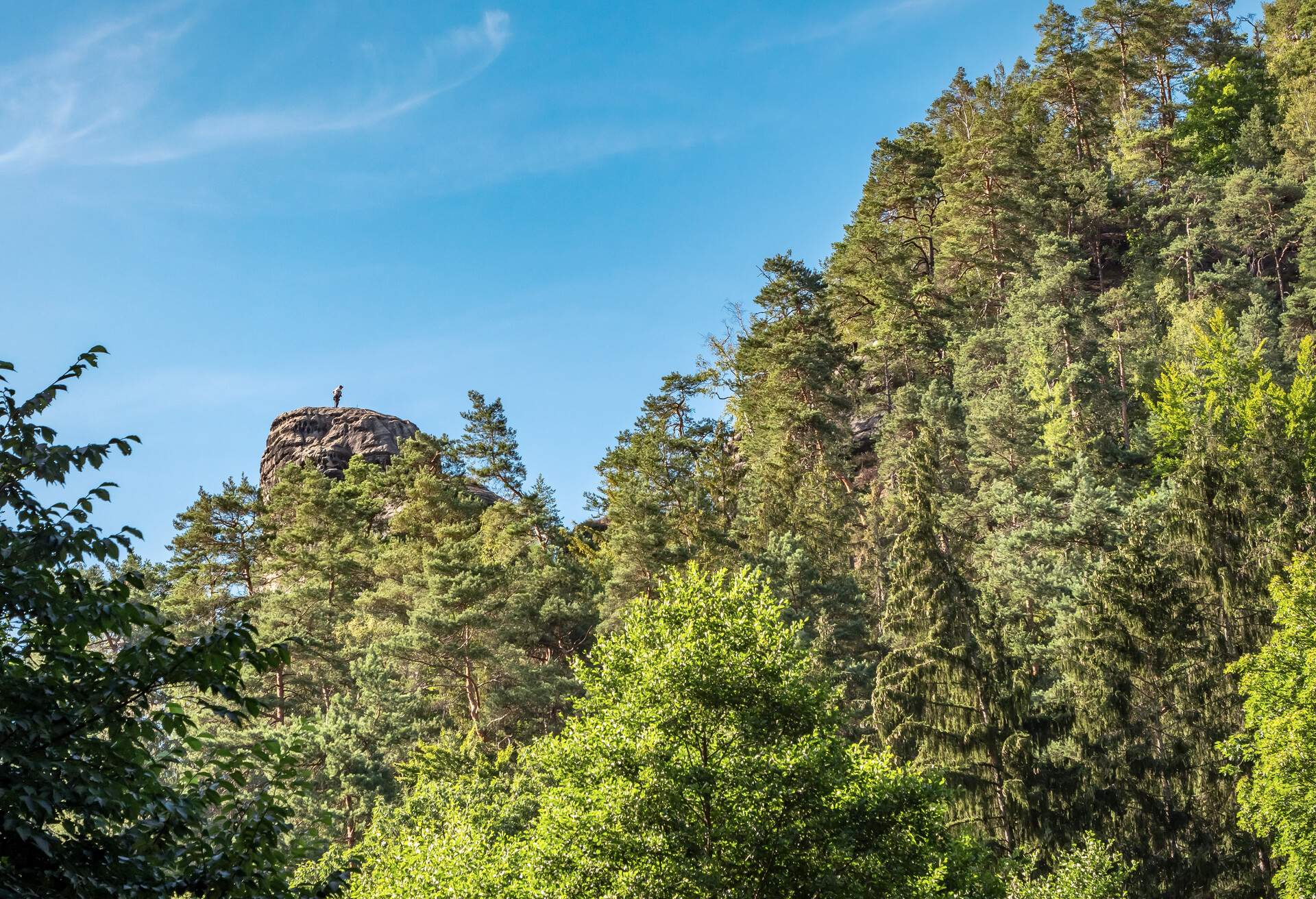 The Polenz River flows over 20 kilometers from Neustadt in Saxony to the Elbe Valley near Rathmannsdorf. Its idyllic valley entices with meadows and steep rock faces. The surrounding grounds as well as the imposing Gautschgrotte are also worth a visit.g