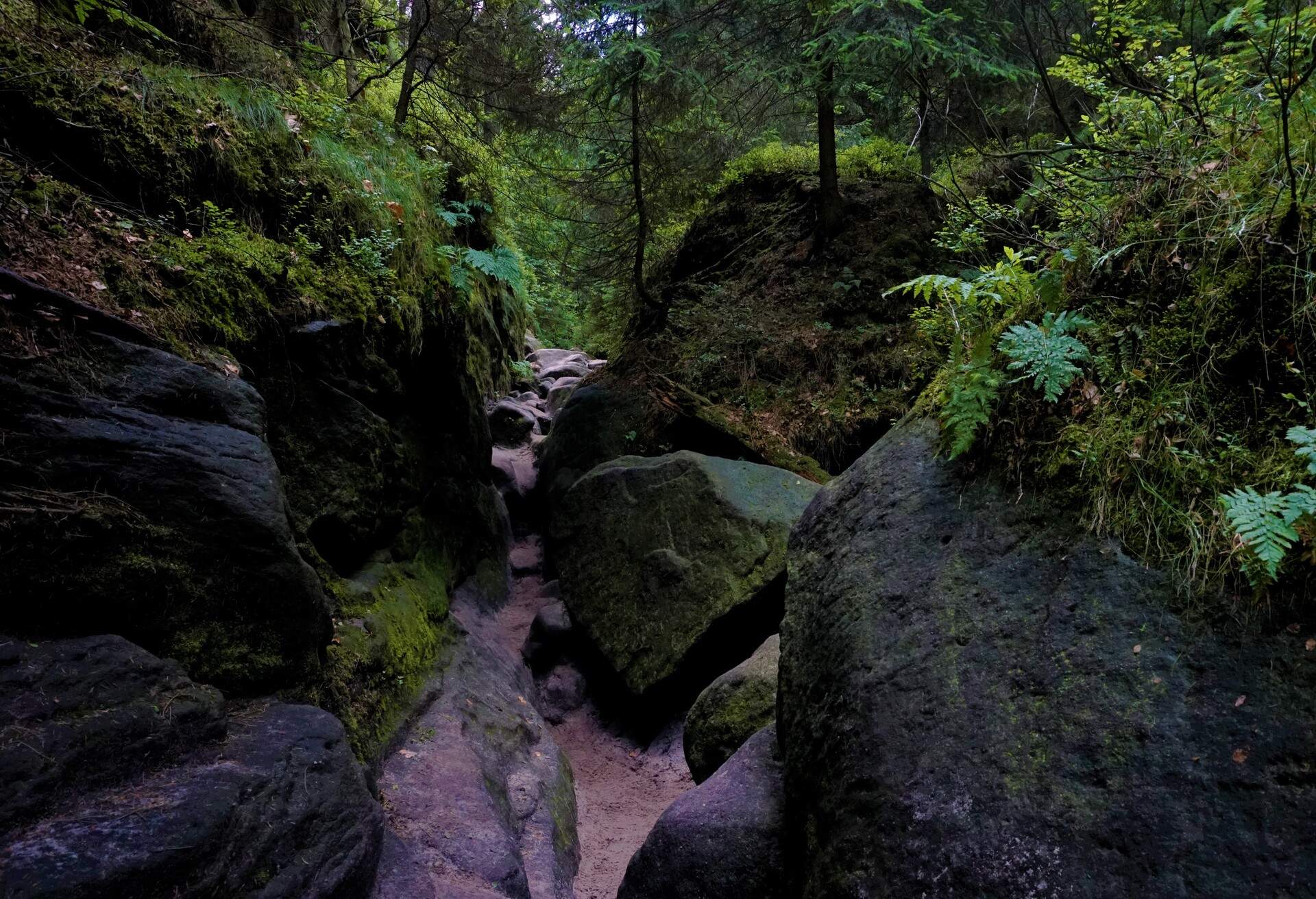 Narrow path through the Wilde Hoelle in Saxon Switzerland, Germany