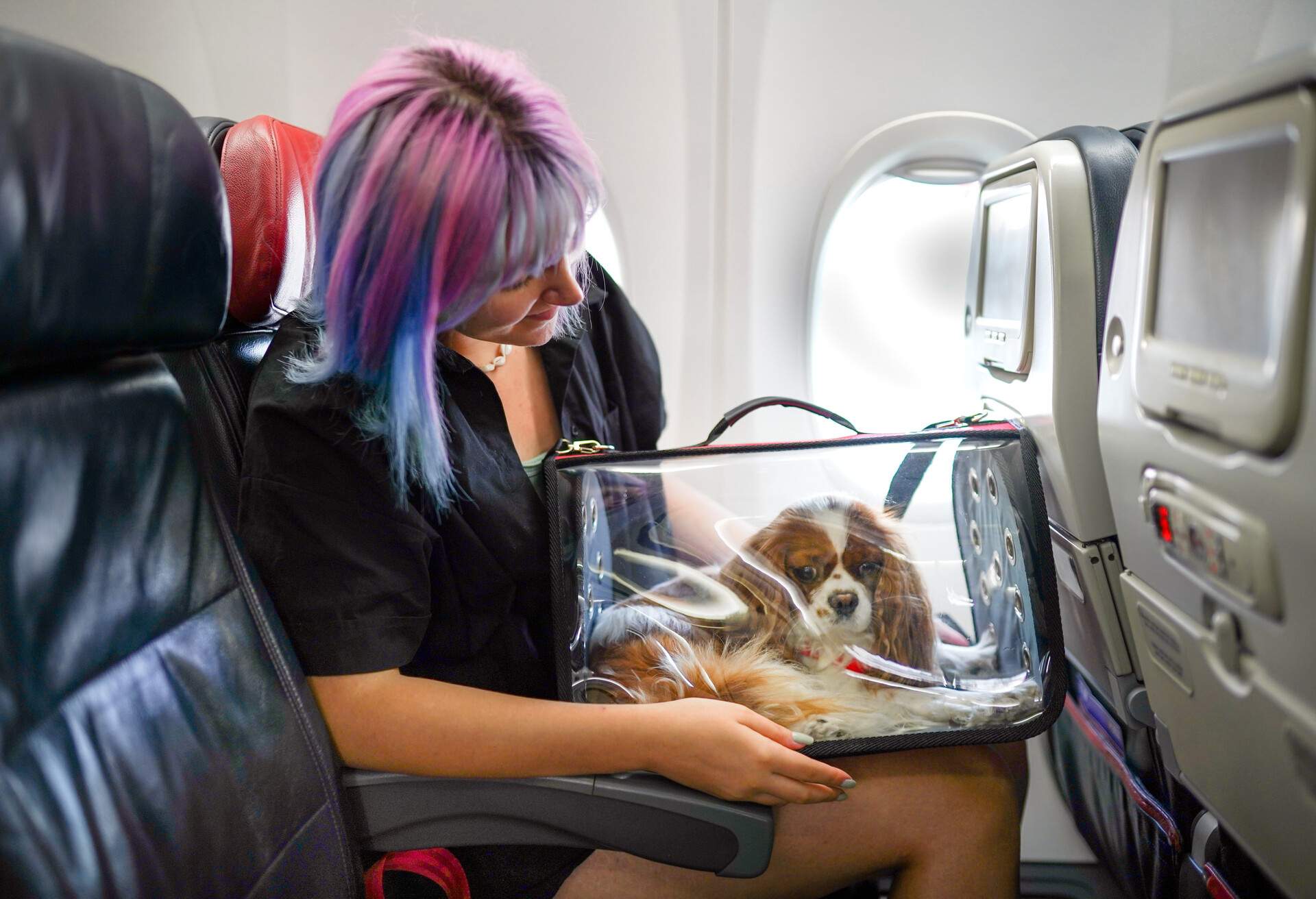 Young woman on airplane with her pet in carry bag