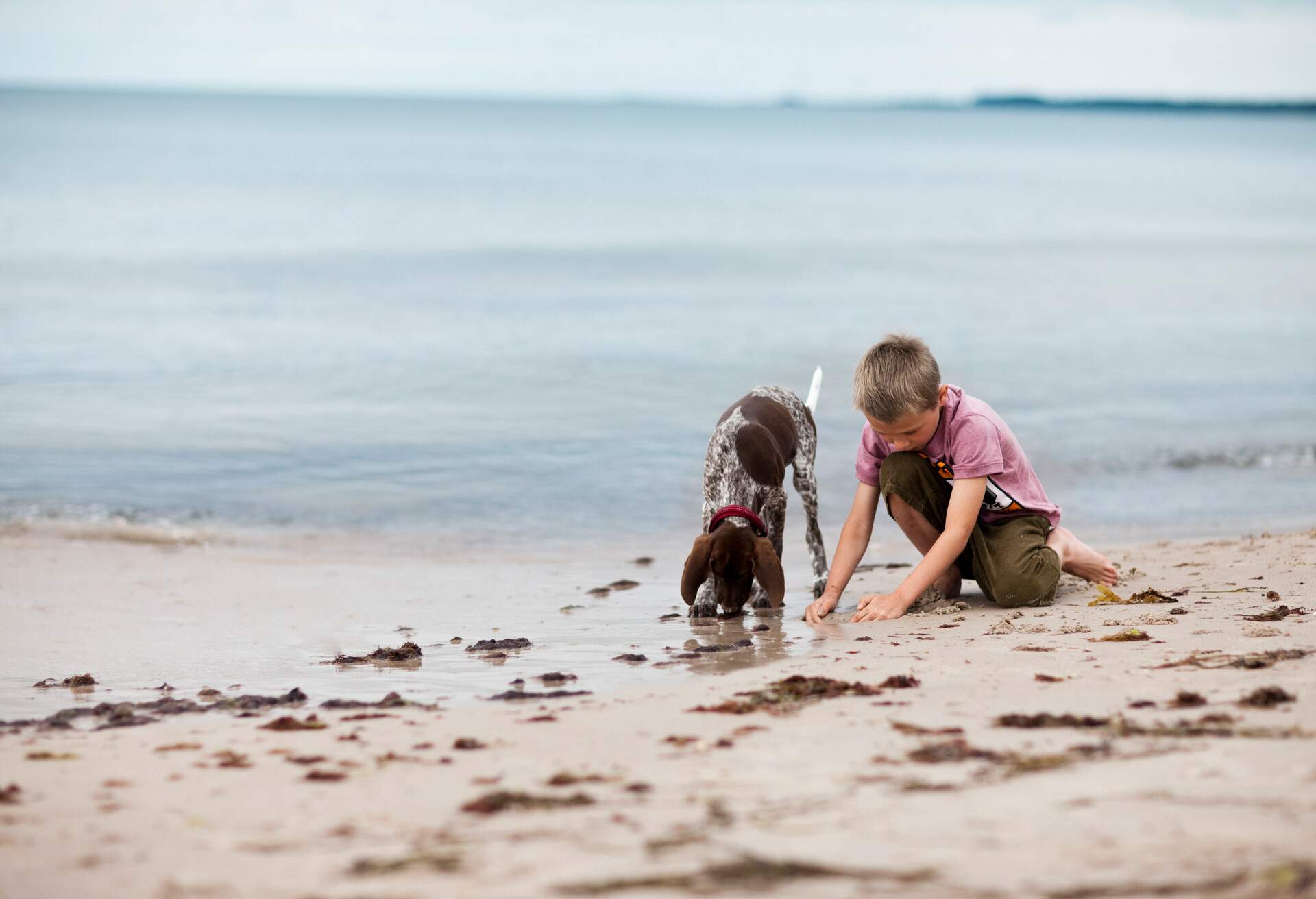 THEME_NATURE_PEOPLE_BEACH_BOY_DOG_SAND_GettyImages-119545934