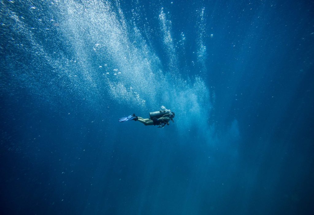 Tauchen in Dubai faszinierende unterwasserwelten momondo