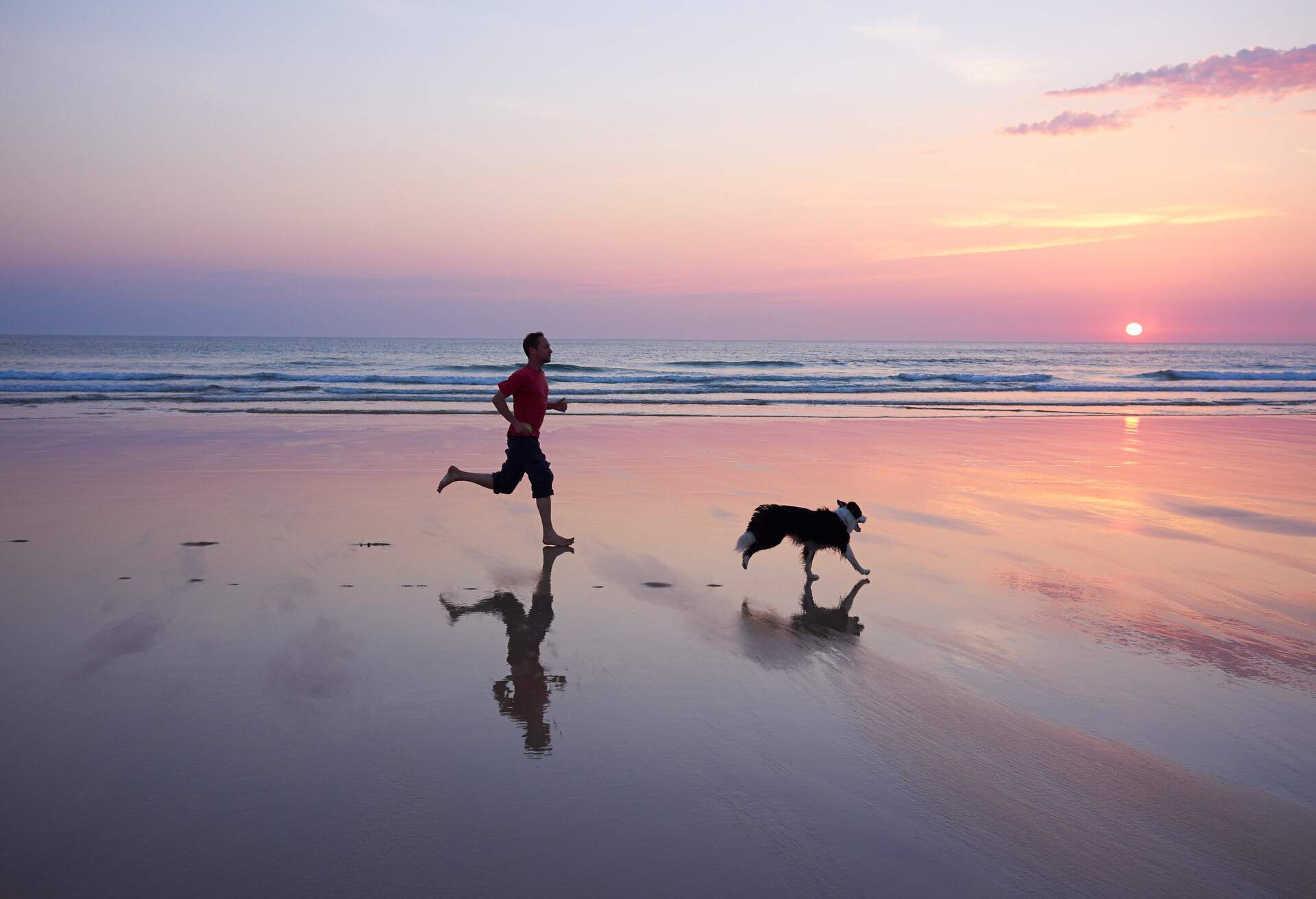 THEME_PETS_DOG_BEACH_PEOPLE_GettyImages-173279516