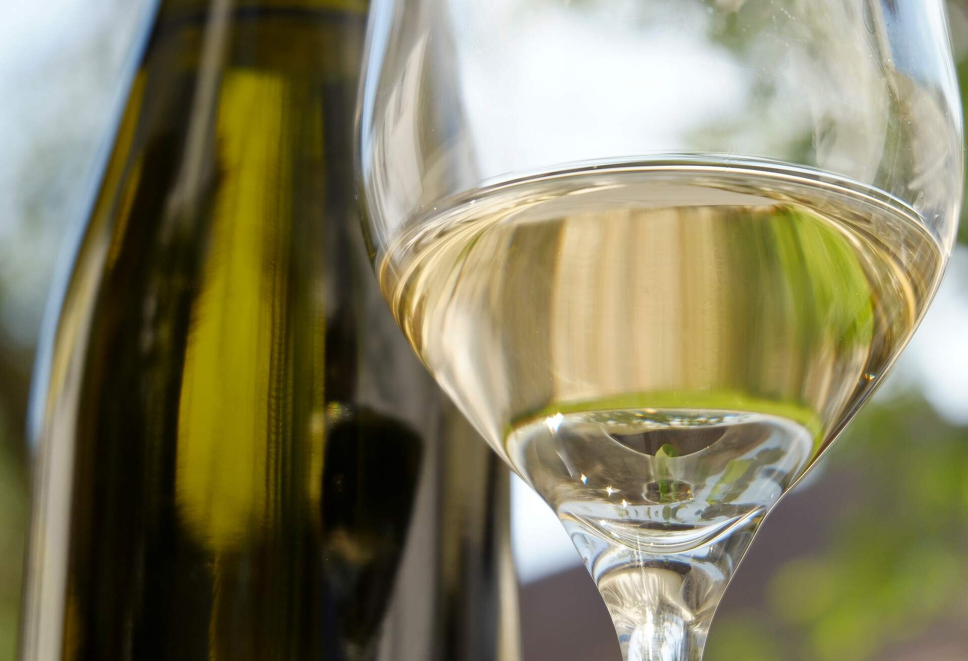 Wine glass with white wine in front of a bottle - Wachau - Austria