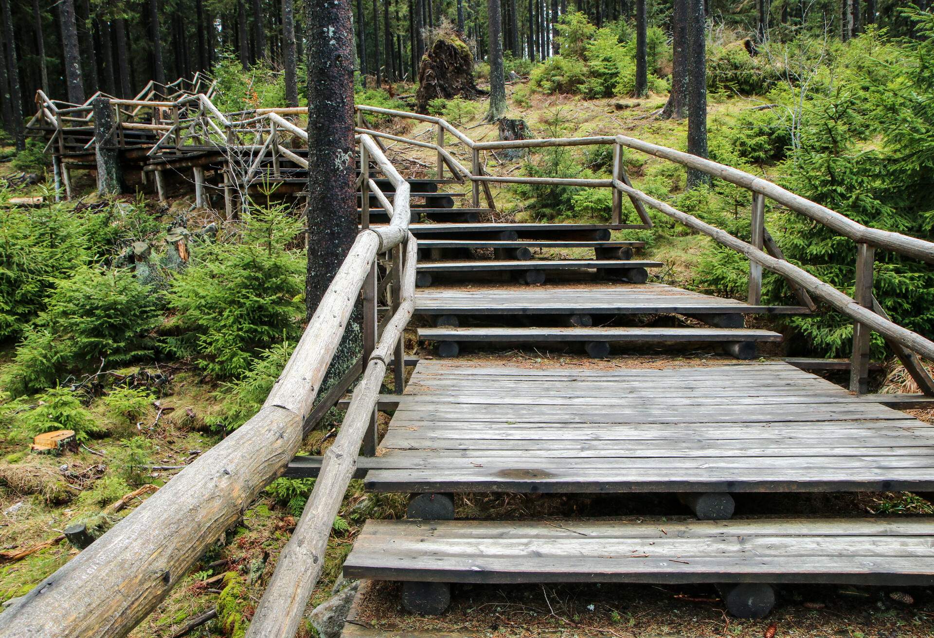 The wooden footpath for the tourist inside the woods of national protected area Šumava in Czech Republic. Leading to Boubín hill.