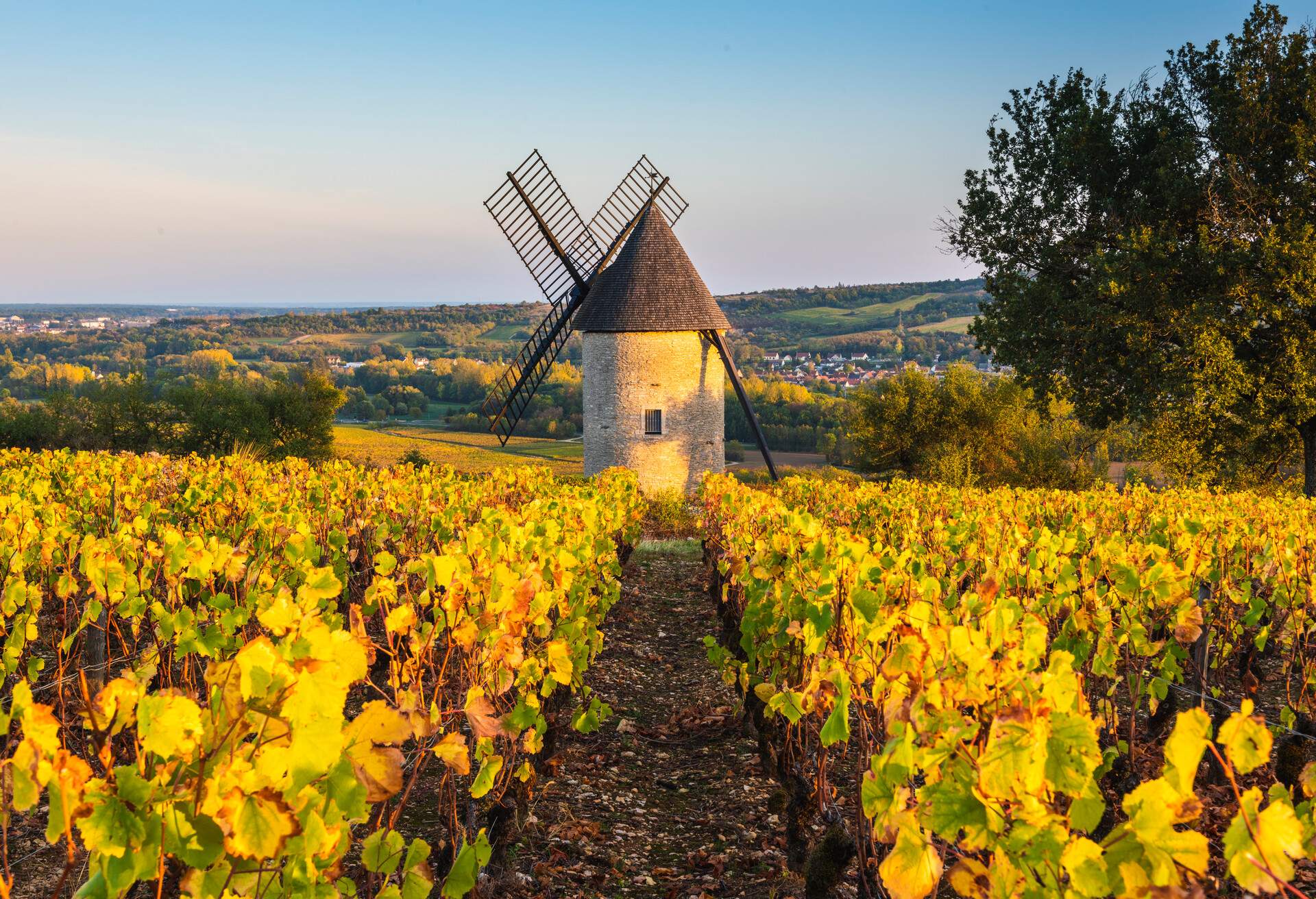 FRANCE_BORGOGNE_WINDMILL