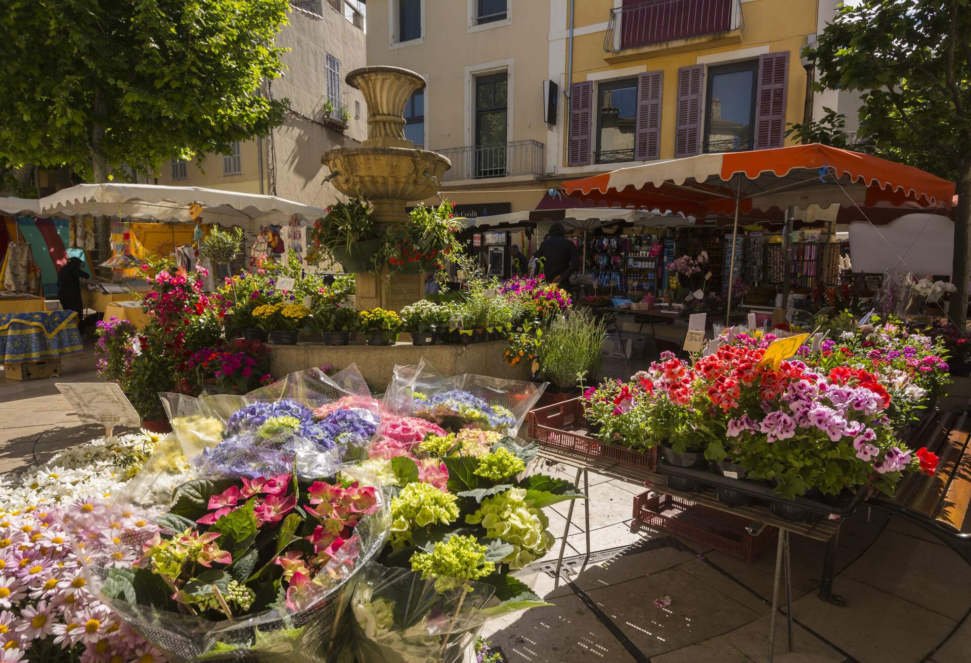 France, Côte d'Azur, Cassis, street scene, flower vendor