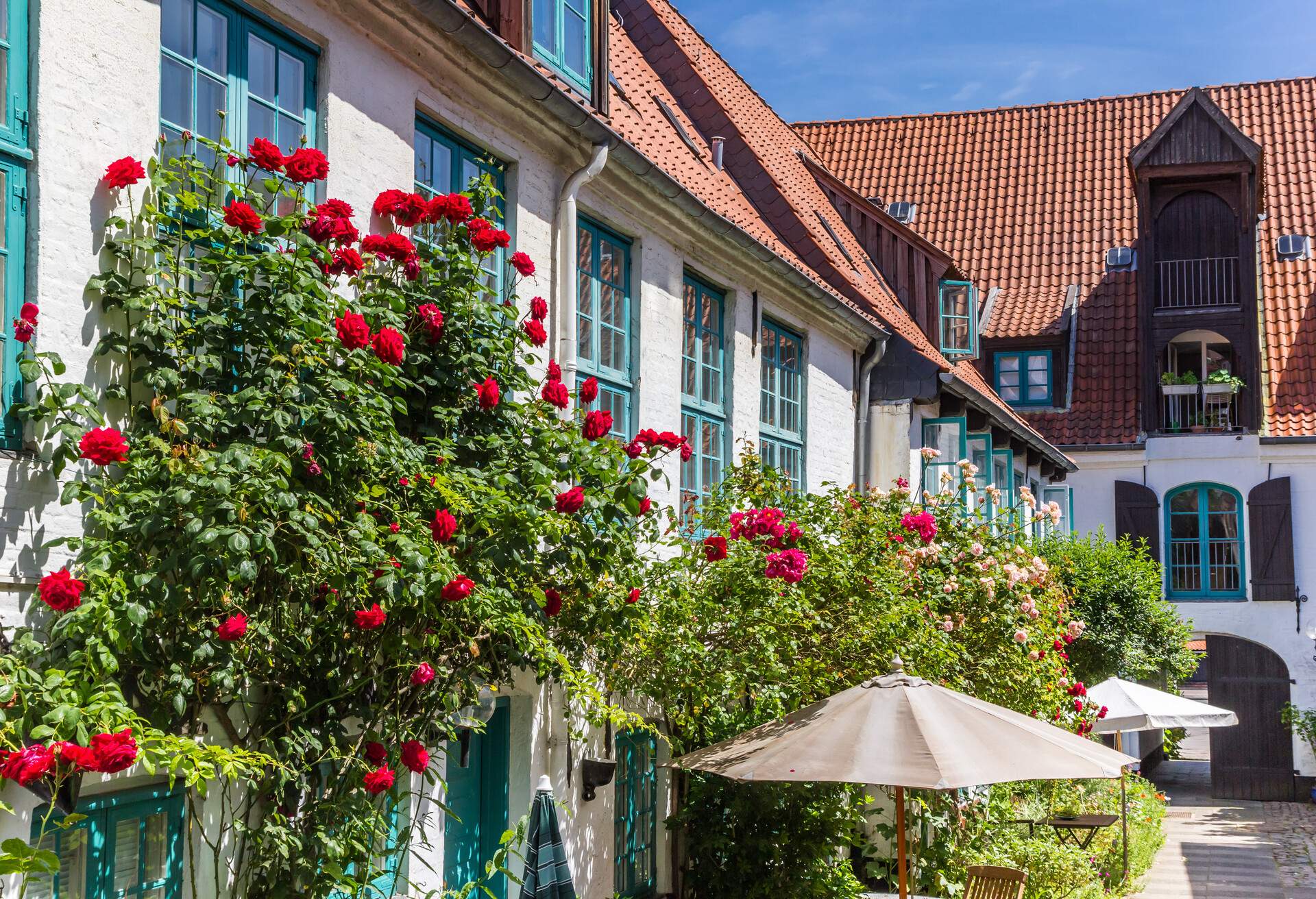 Colorful flowers at the facade of a white house in Flensburg, Germany