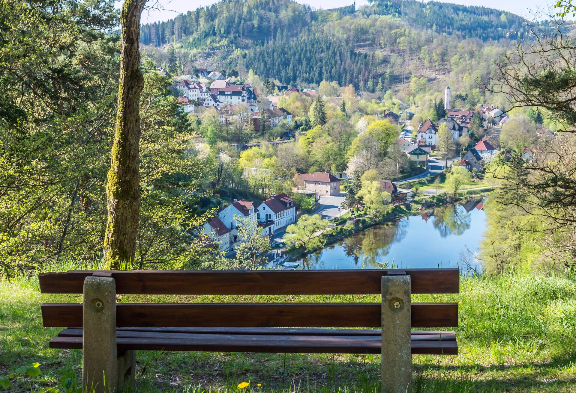 View from the bank to Ziegenrück in Thuringia