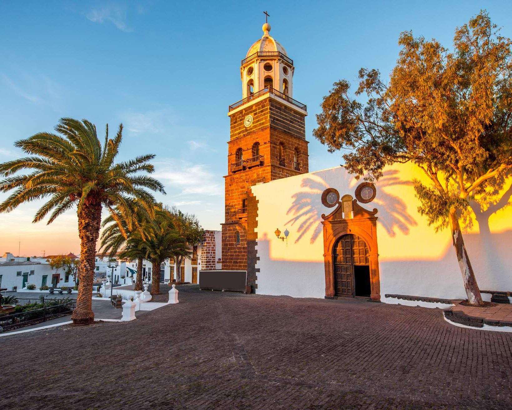  momondo Illustration 