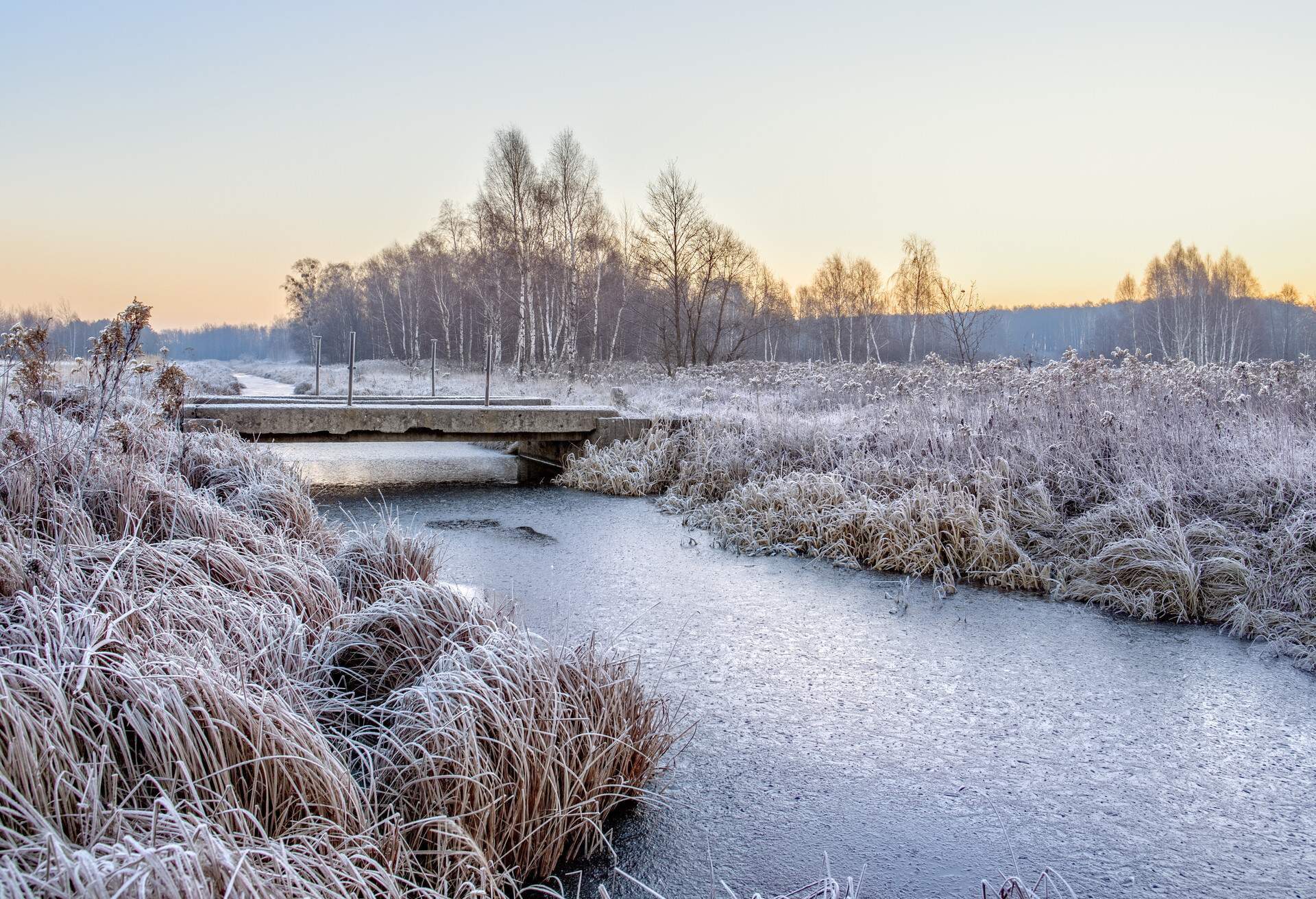 DEST_POLAND_KAMPINOS_NATIONAL_PARK_GettyImages-1344693647