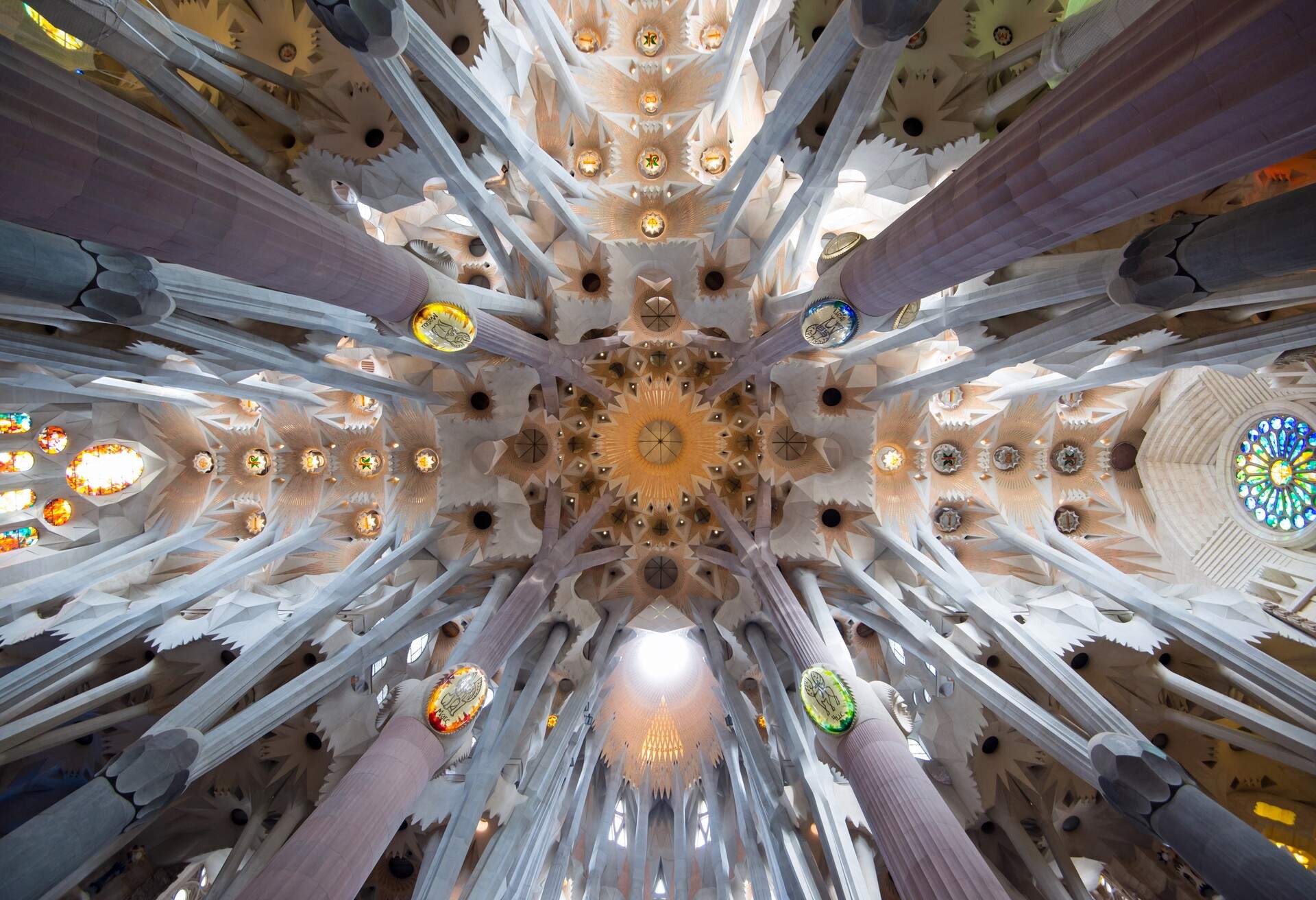 Horizontal image of the Sagrada Familia Cathedral ceiling with beautiful architectural design and amazing light in Barcelona, Spain.