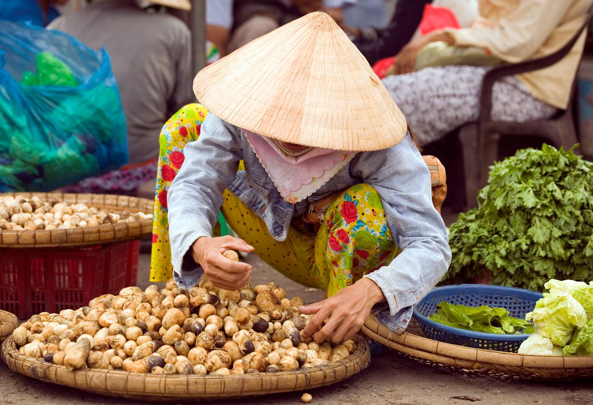 DEST_VIETNAM_HOI-AN_STREET-MARKET_GettyImages-173703719