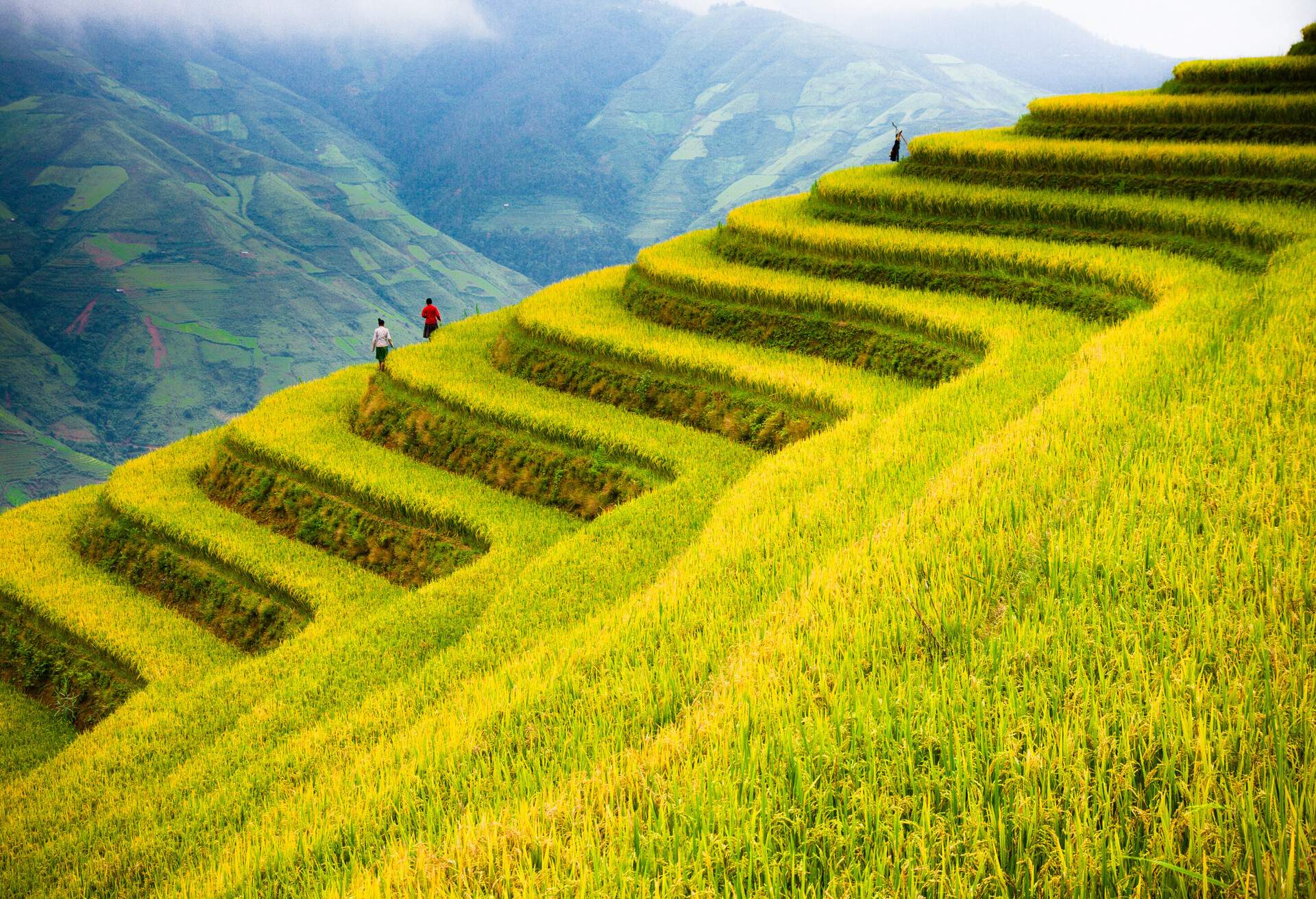 DEST_VIETNAM_MU_CANG_CHAI_YENBAI-GettyImages-606210710