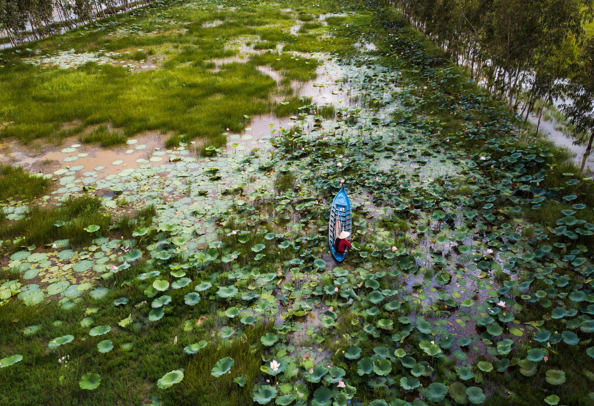 DEST_VIETNAM_RACH GIA CITY lotus pond GettyImages-899268166