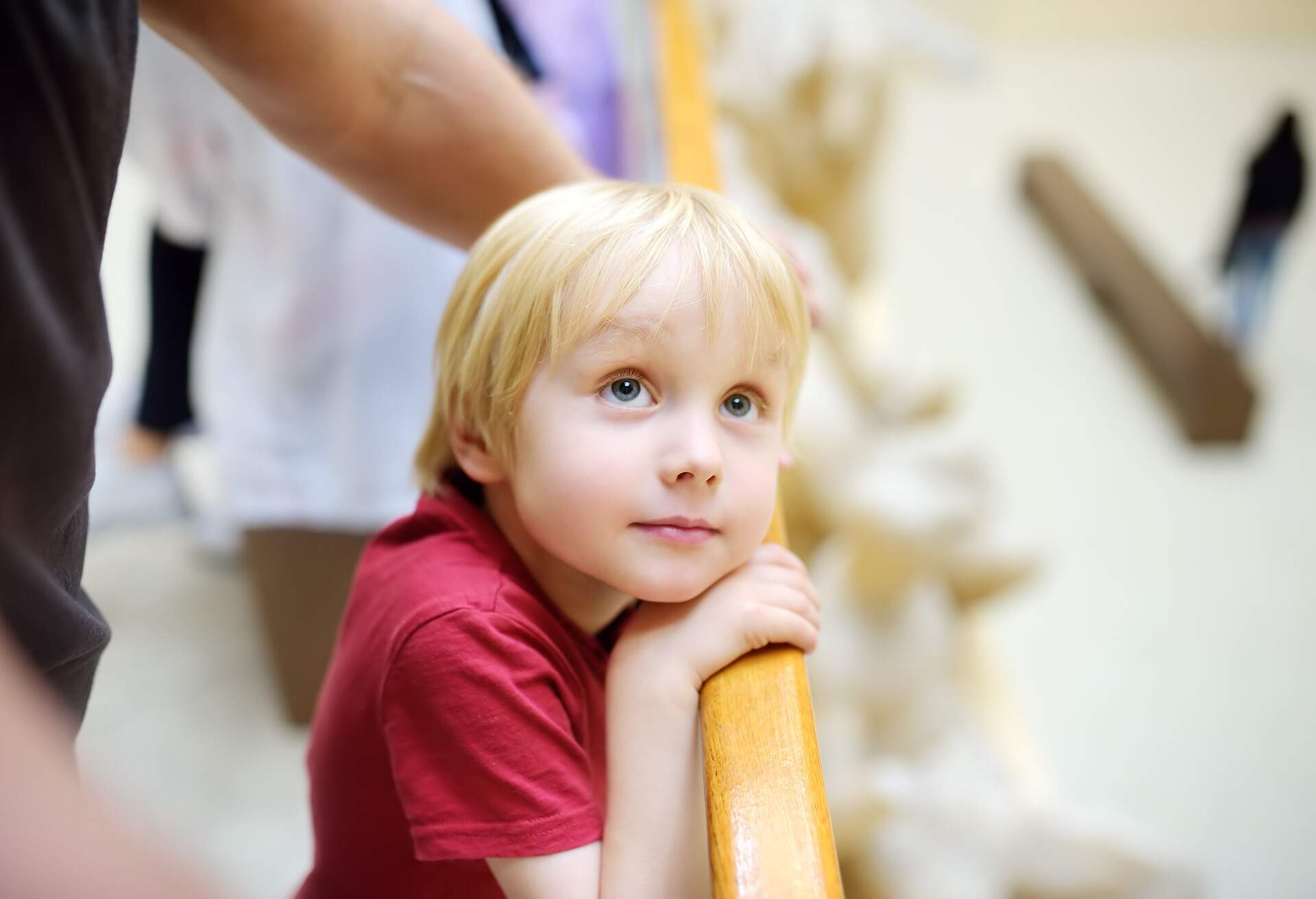 Little boy looking at exhibit during excursion. Aesthetic and art education of kids.