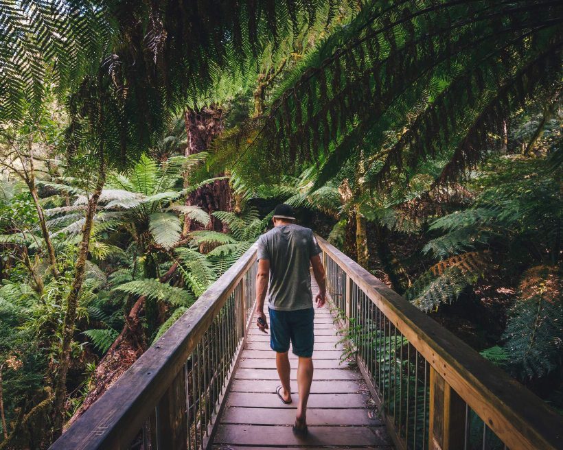 australia_victoria_apollo_bay_forest_man_great_otway_national_park