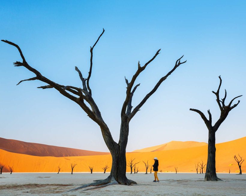 dest_namibia_deadvlei_shutterstock_1458153791_universal_within