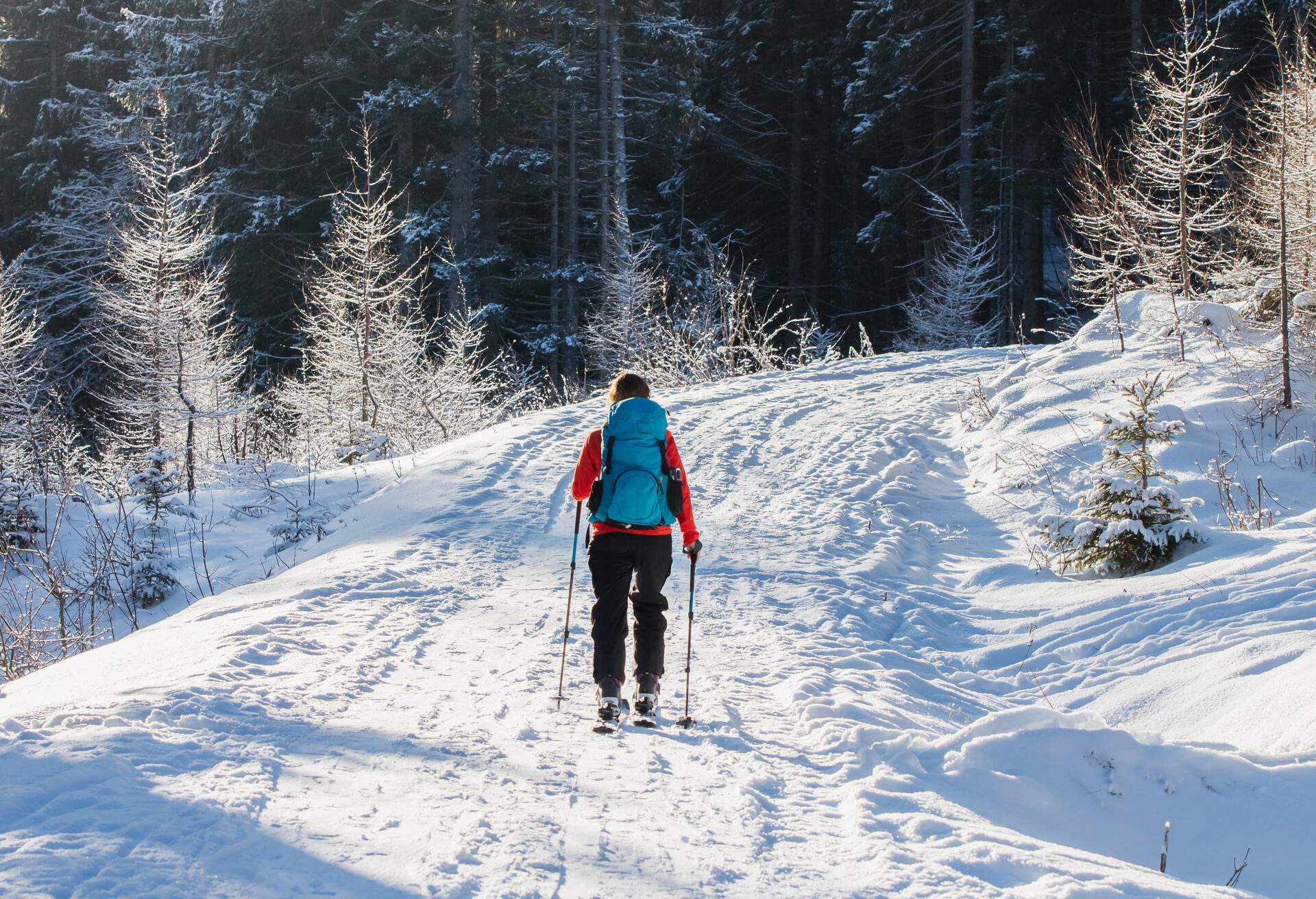 GERMANY_THE_ALPS_WINTER_WOMAN