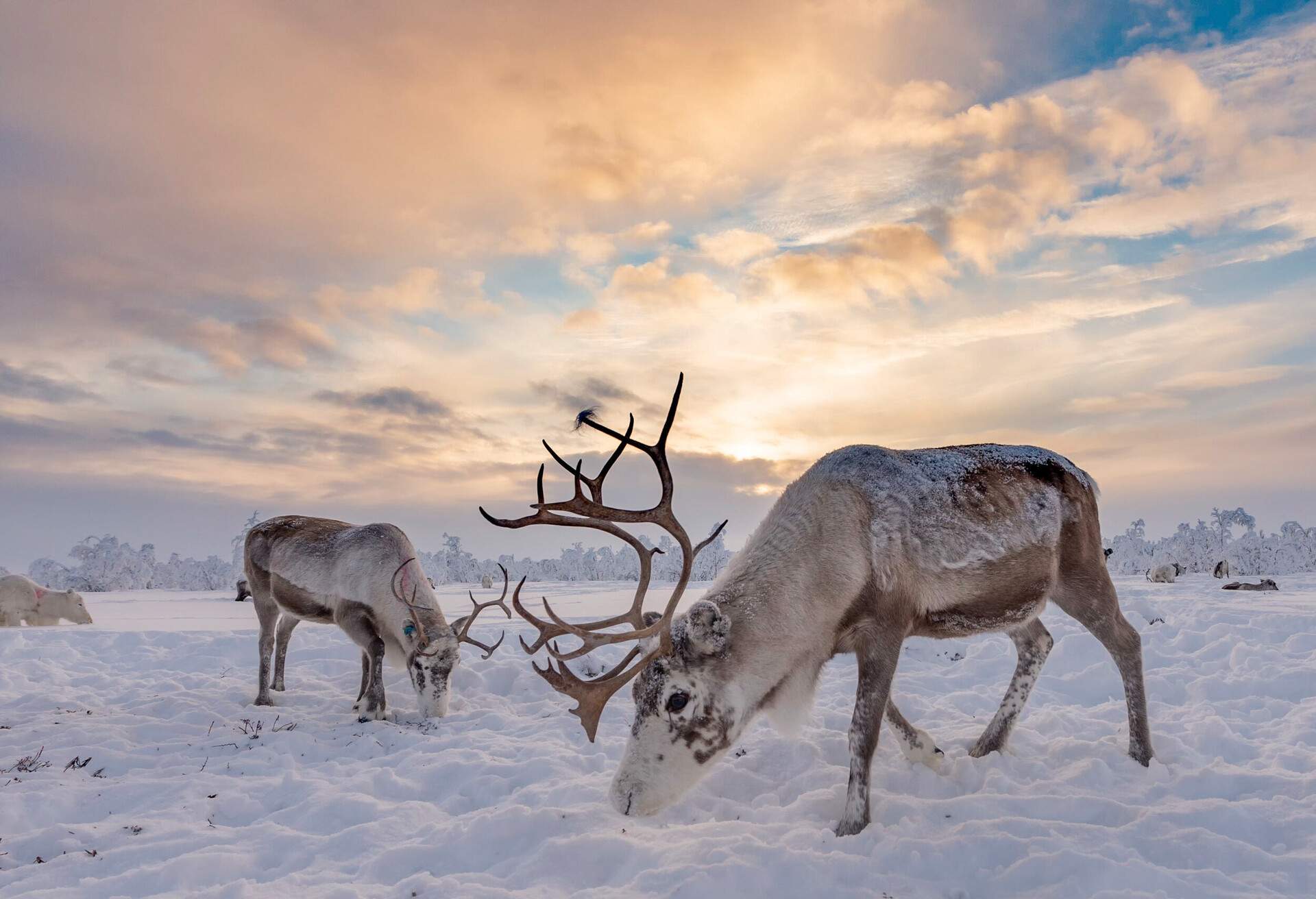 DEST_NORWAY_Karasjok_GettyImages-1293713174