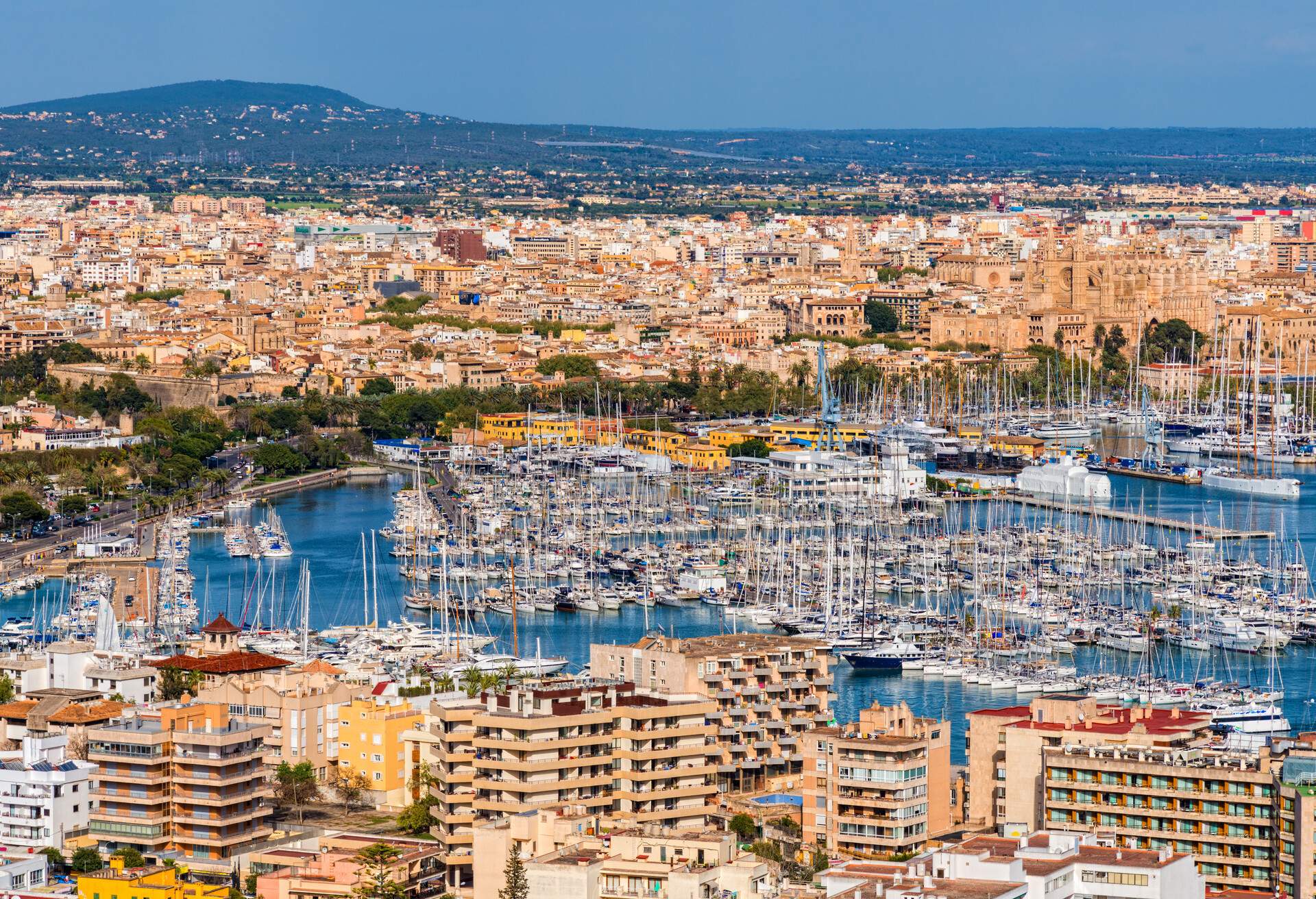 yacht harbor and view to the city of Palma de Mallorca - Spain