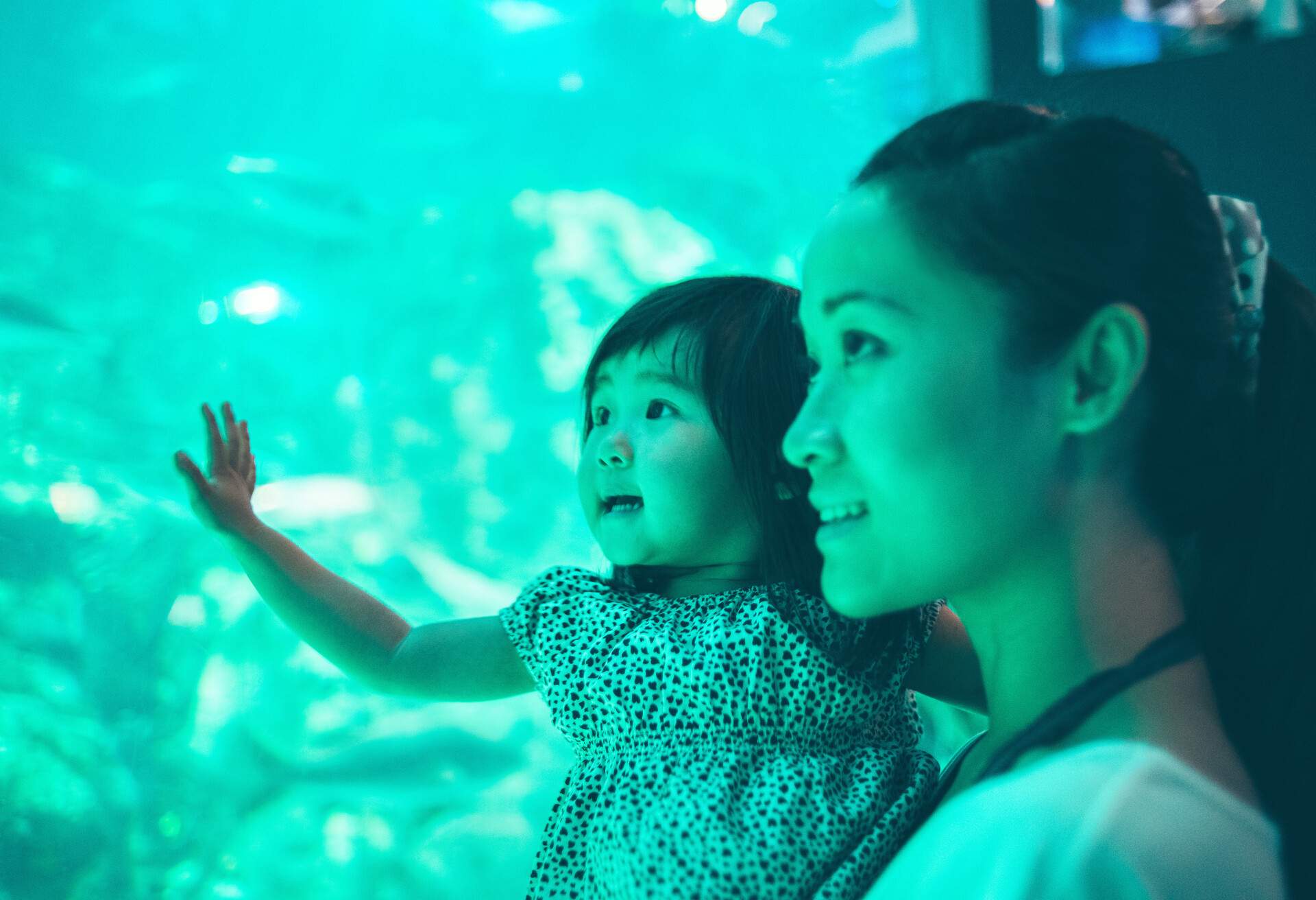 THEME_PEOPLE_KID_GIRL_WOMAN_AQUARIUM_GettyImages-175922200