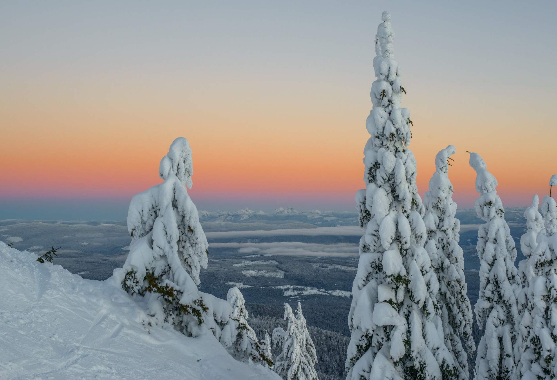 CANADA_SKI_SNOW_TREE_SUNSET