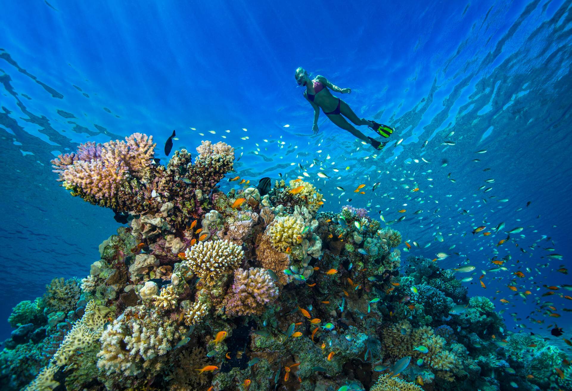 DEST_EGYPT_HURGHADA_THEME_SNORKELLING_GettyImages-926722356