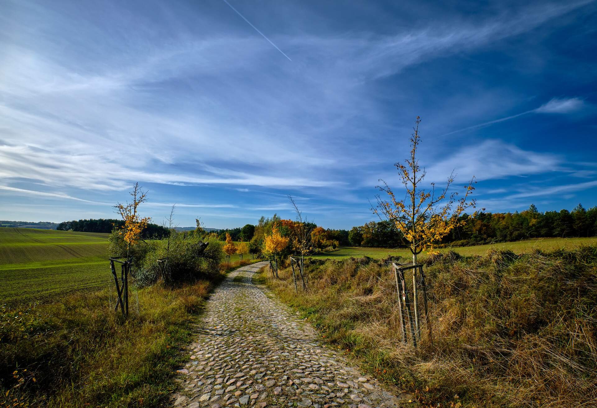 DEST_GERMANY_BRANDENBURG_GRUMSIN_GettyImages-1358974713