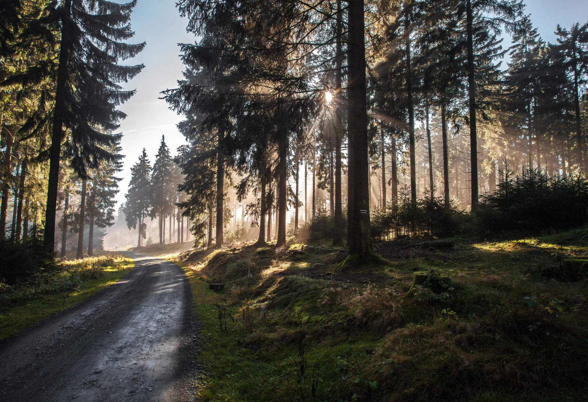 Autumn in german Mountains and Forests - During a hiking tour through some german average mountains I took this landscape, panorama and nature photographies. Location was close to Feldberg / Taunus - Frankfurt am Main.